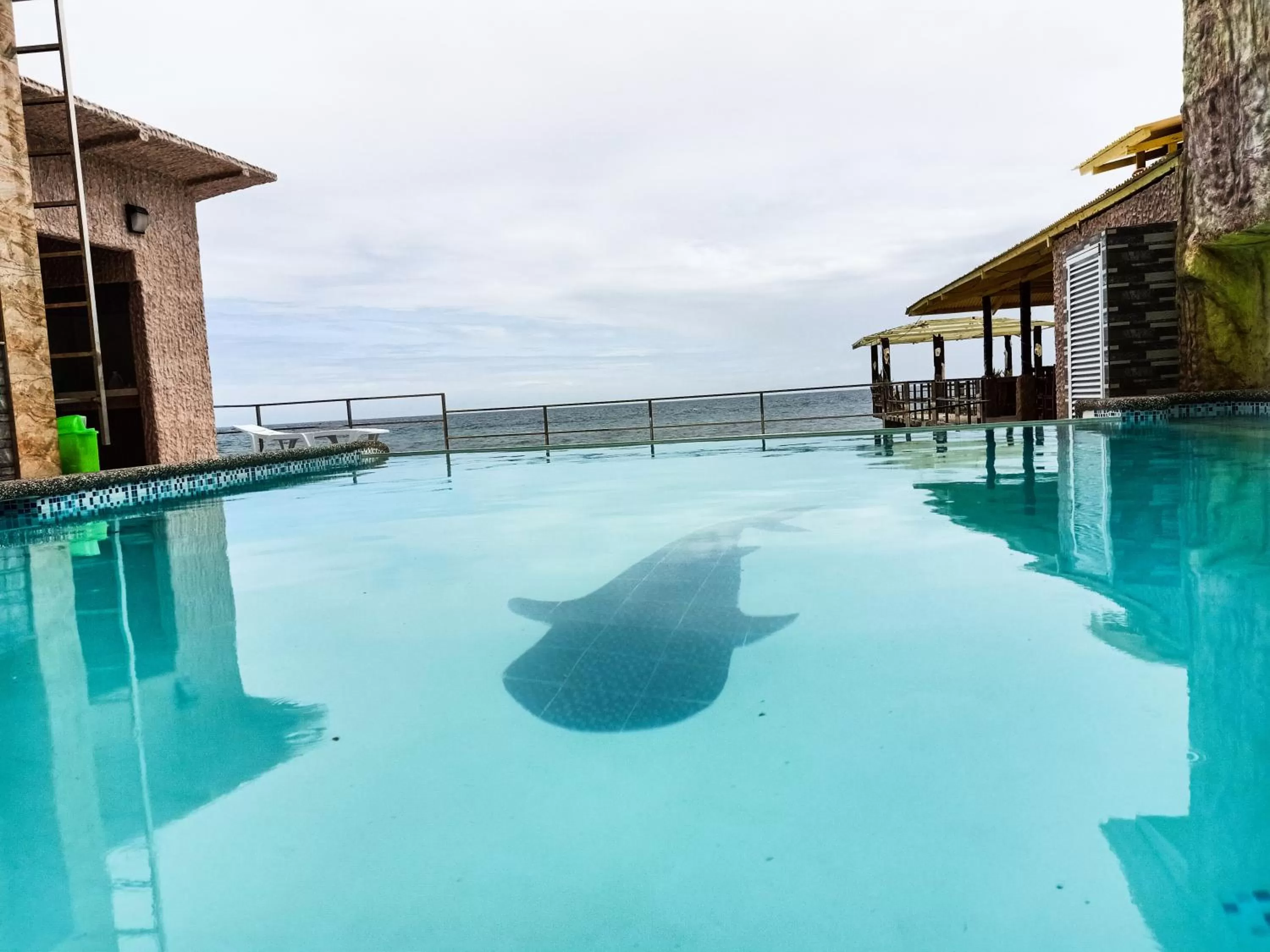 Swimming pool in Ging-Ging Hotel And Resort