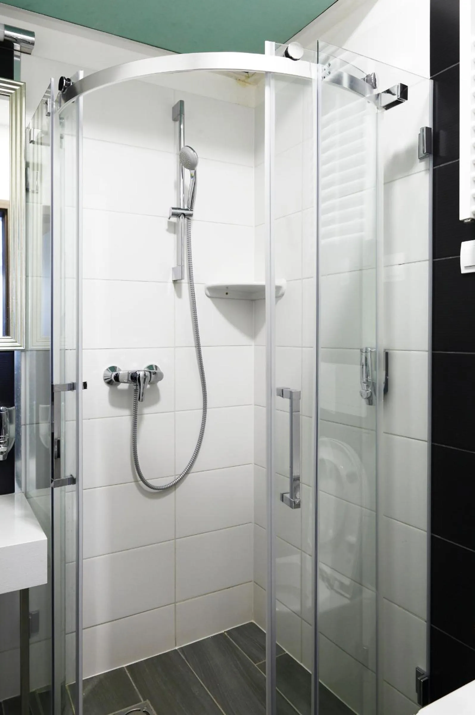 Shower in House Octogon