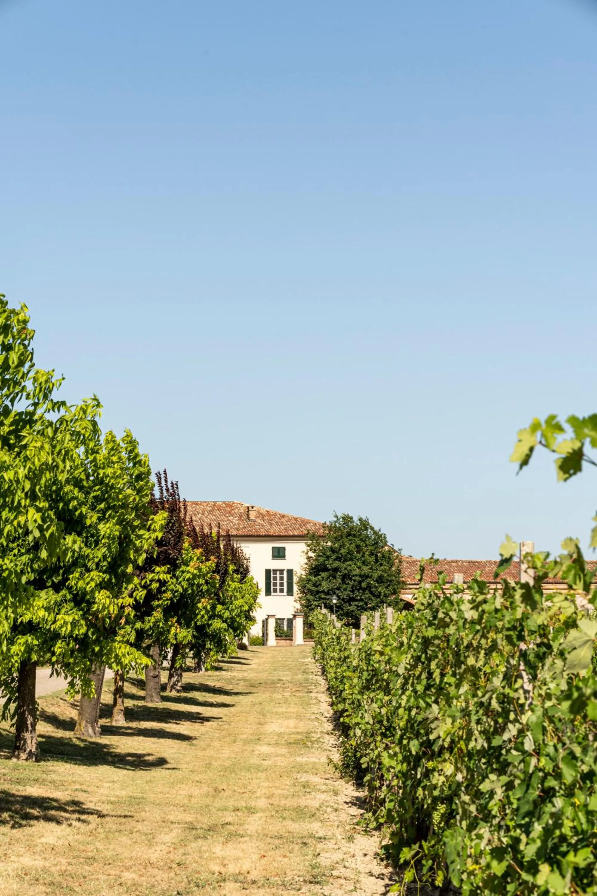 Property building in Spinerola Hotel Restaurant e Spa Arborea