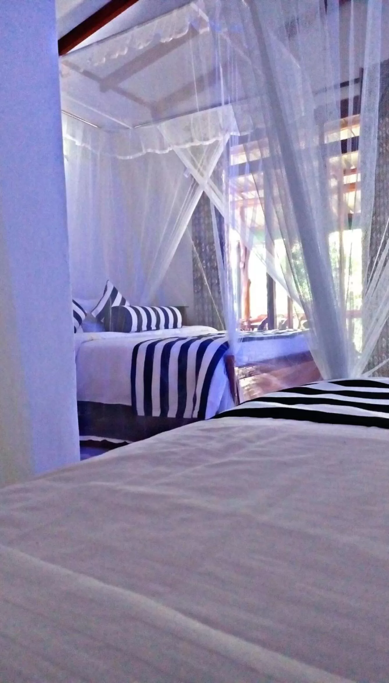 Bedroom, Bed in Cozy Homestay Waterfall Road Ella