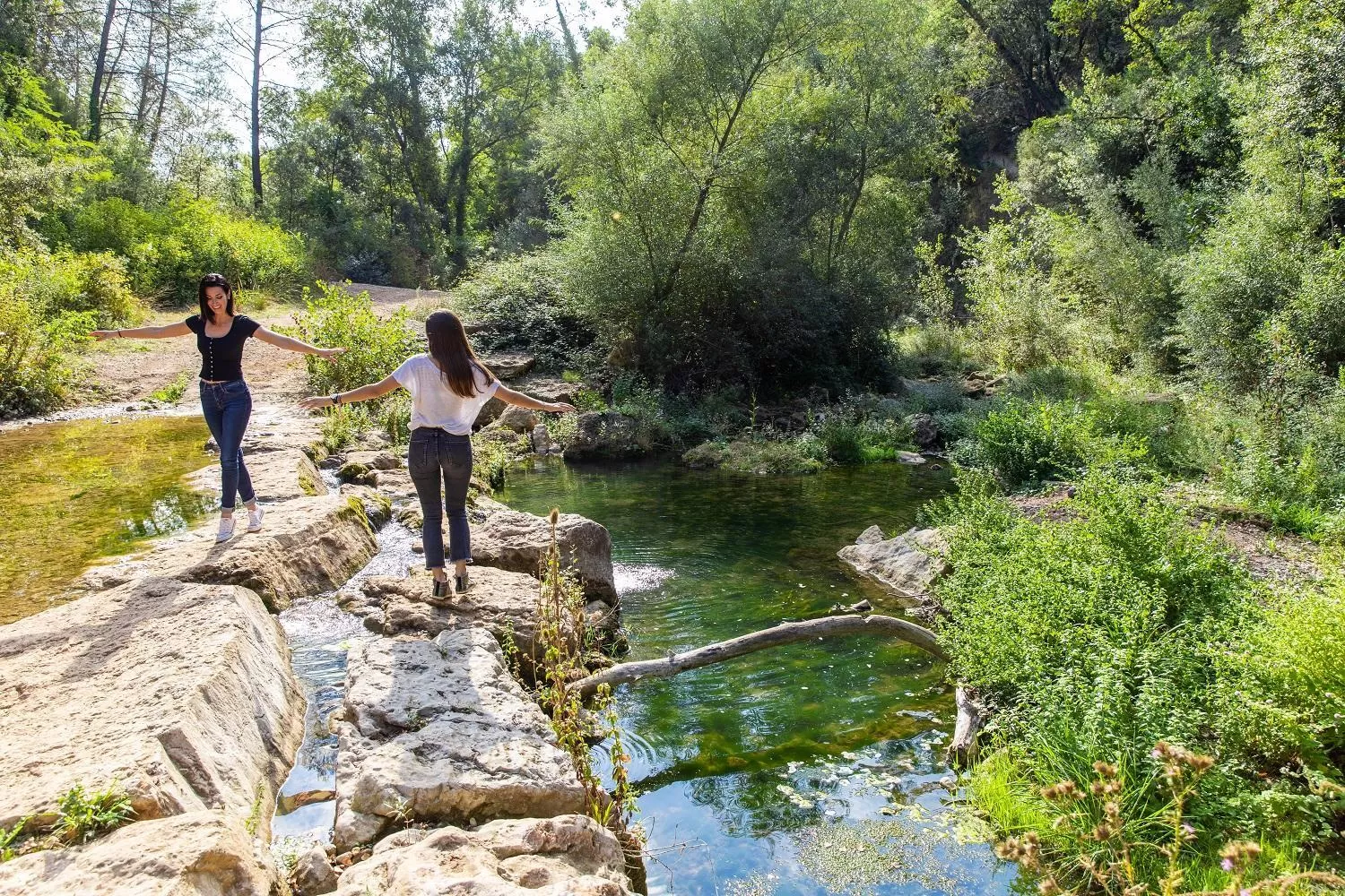 Natural landscape in Château de Berne