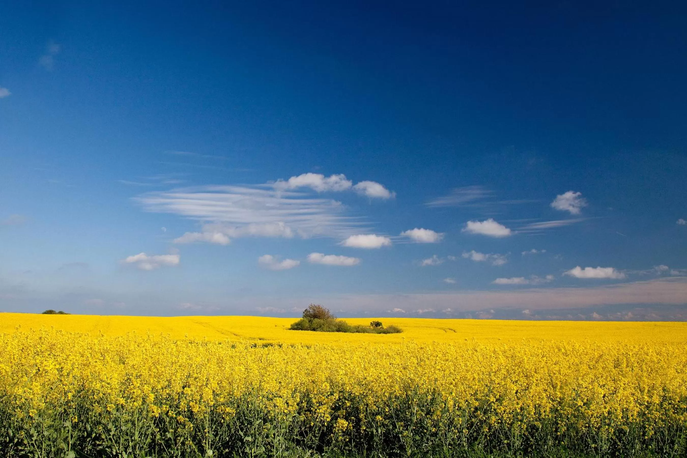 Hiking in Hotel Garni Getreuer Eckart