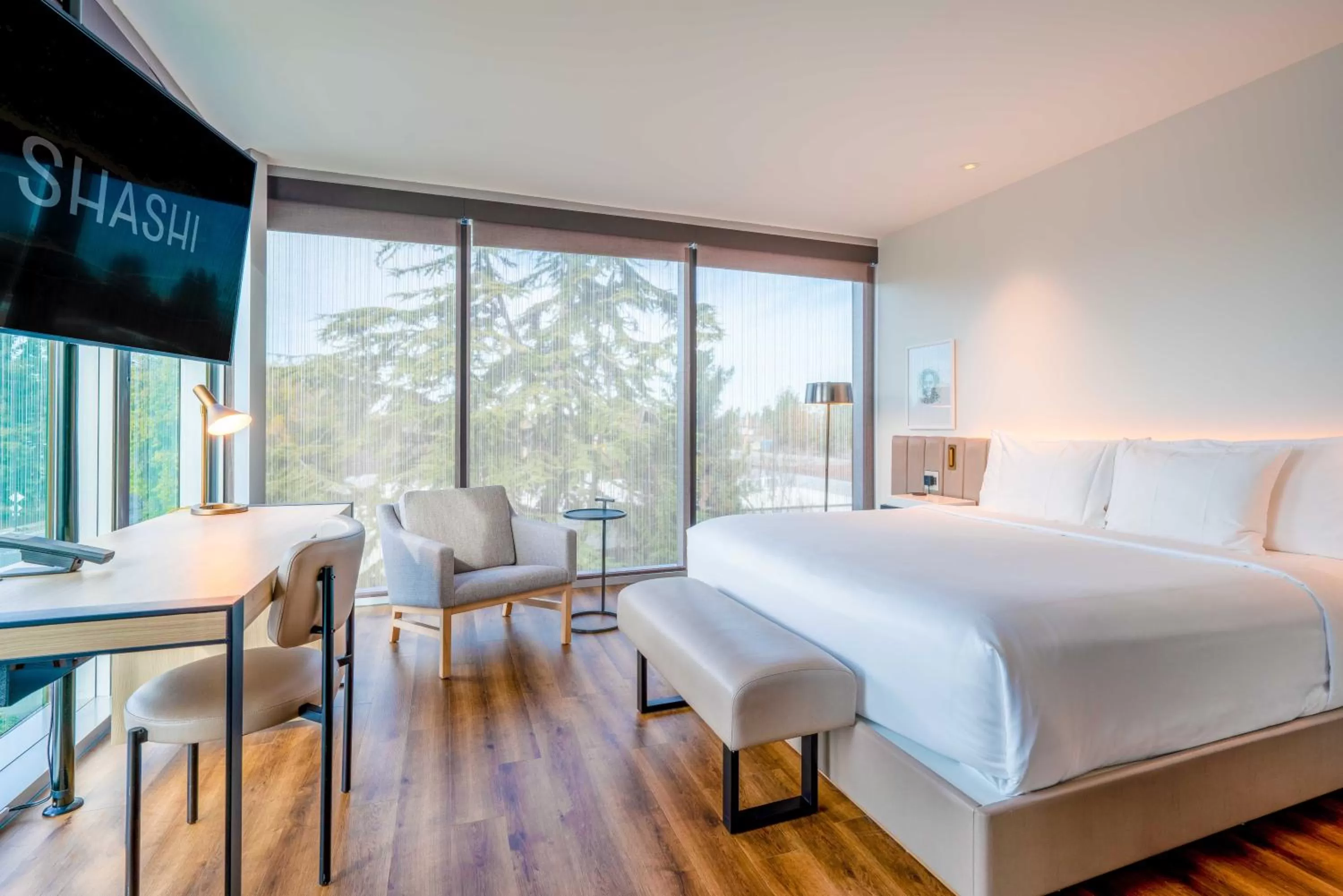 Photo of the whole room, Bed in Shashi Hotel Mountain View Palo Alto