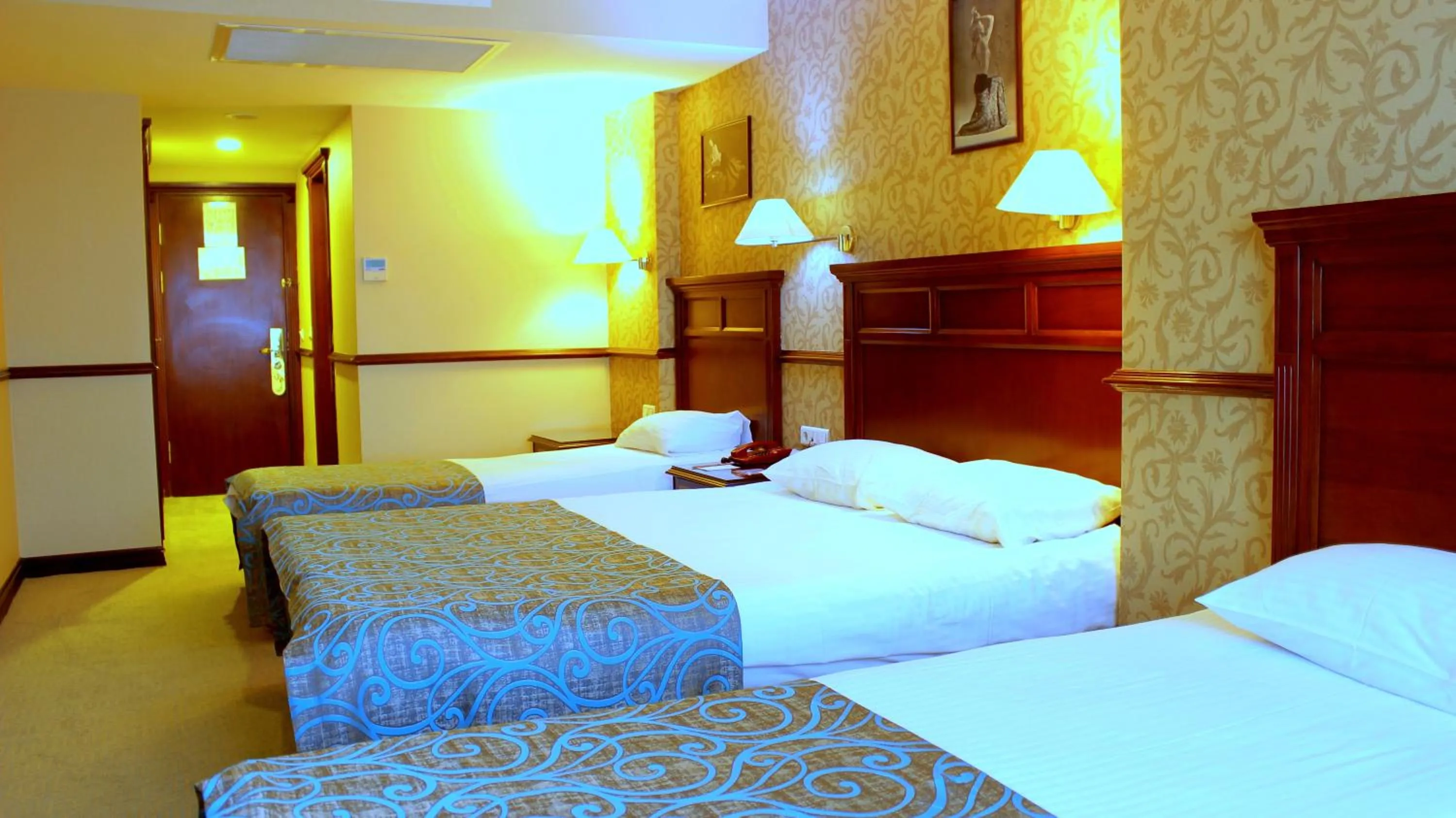 Photo of the whole room, Bed in Topkapi Inter Istanbul Hotel