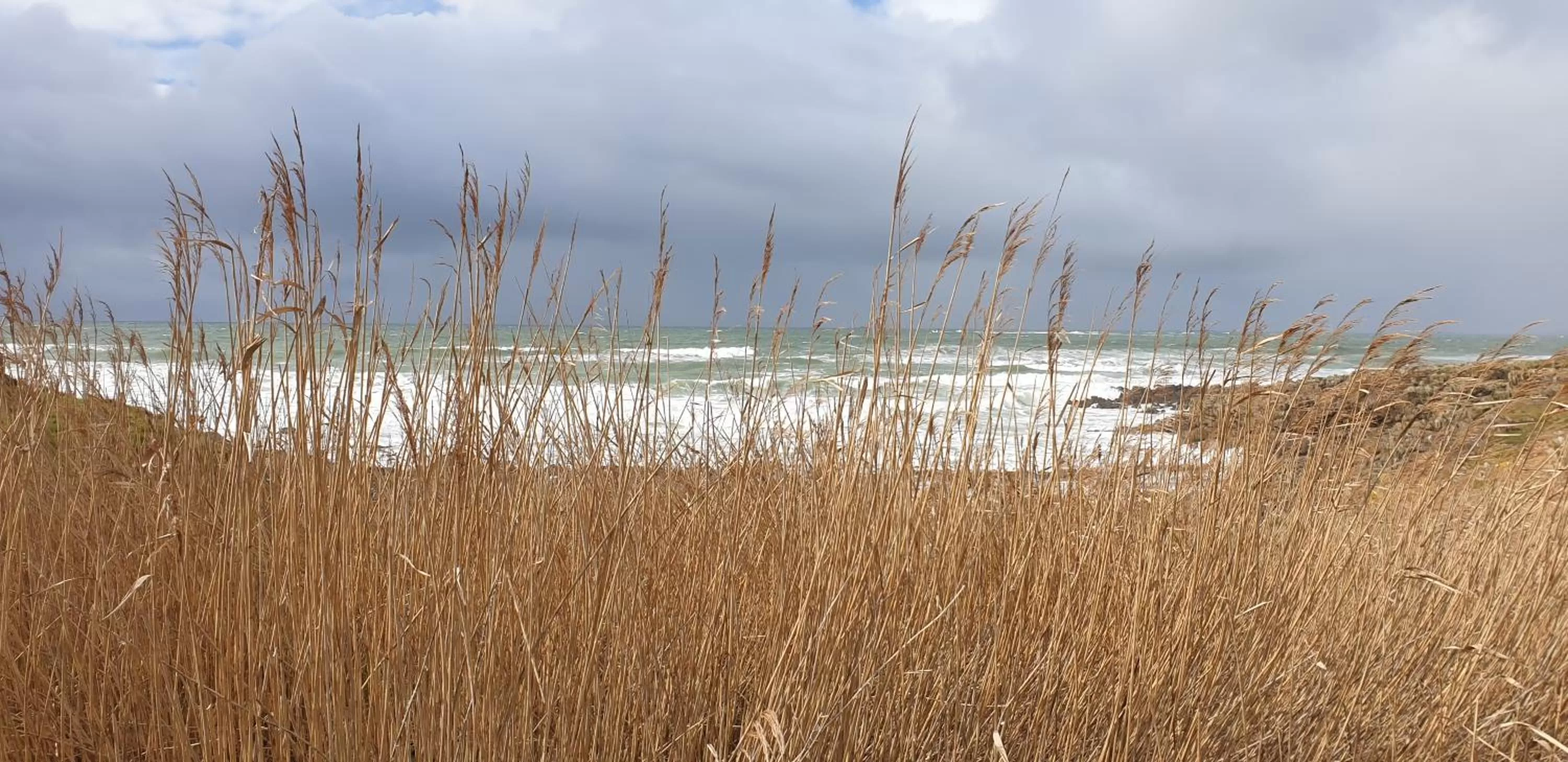 Other in La Maison Keribin