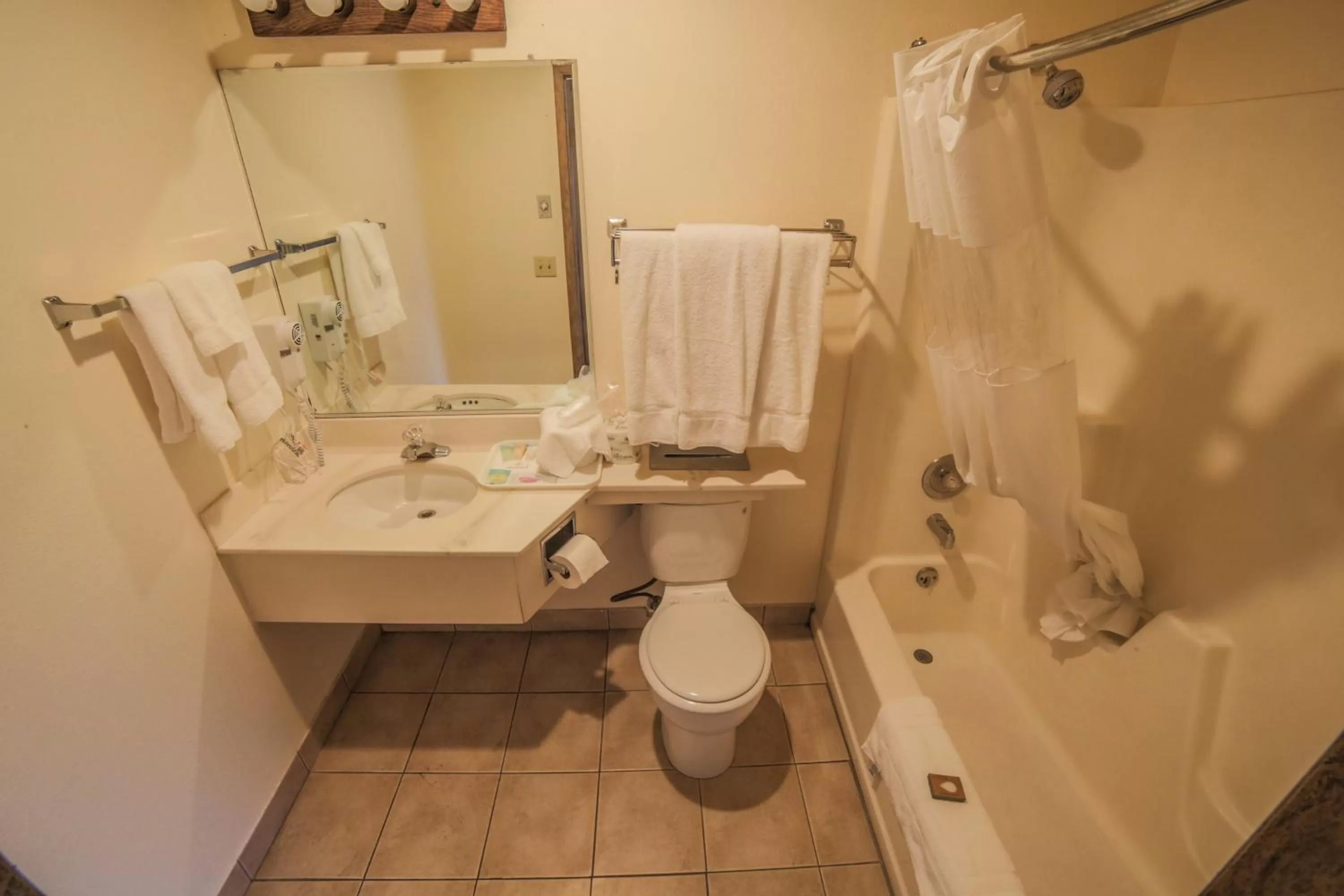 Bathroom in Sunnyside Inn and Suites