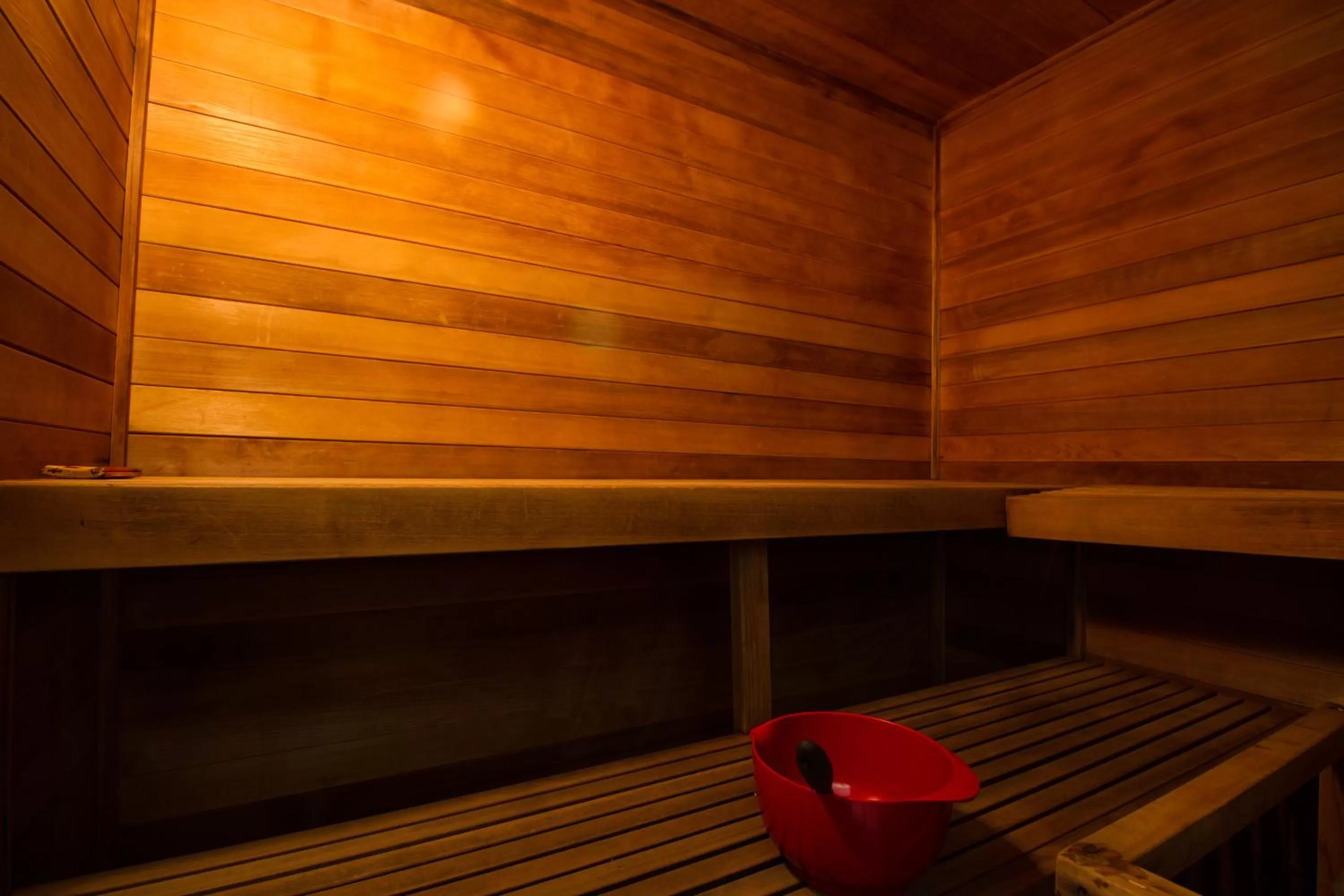 Sauna in Mountain Retreat Resort