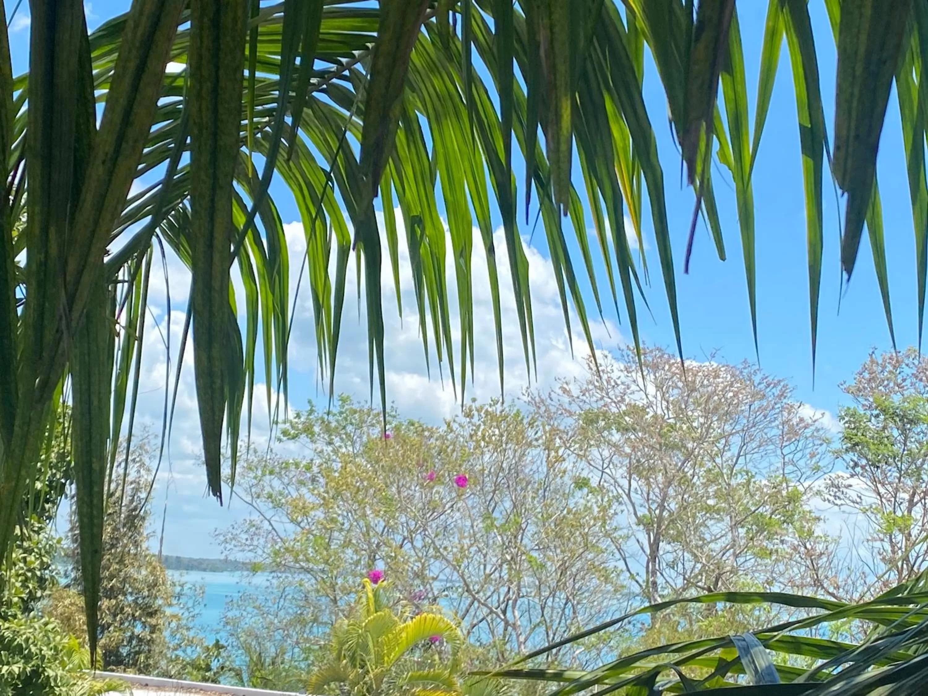 Lake view in Maison Bacalar