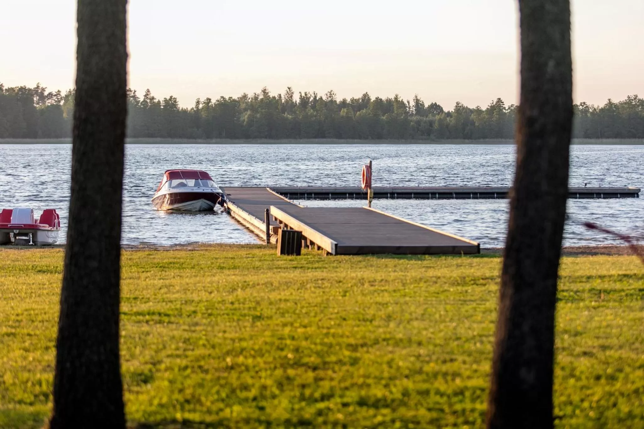 Natural landscape in Apartamenty Zielona Lipka