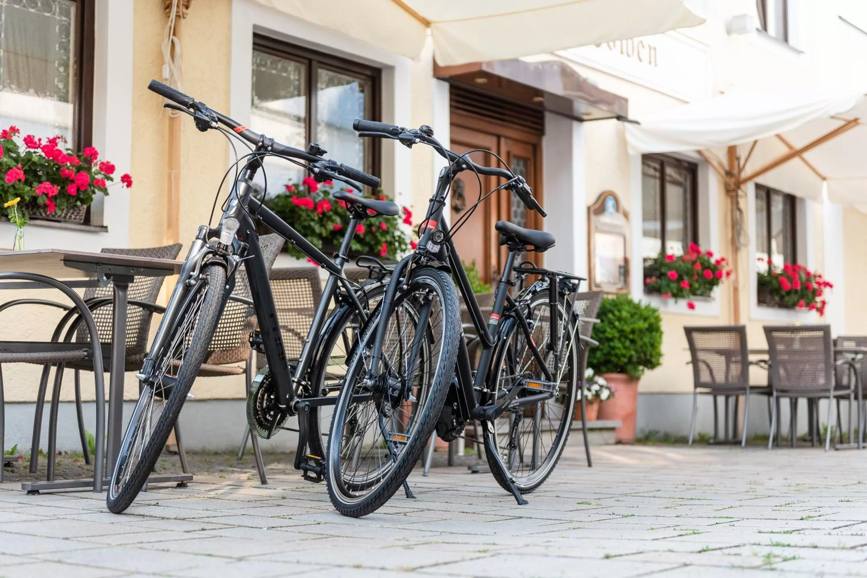 Cycling in Gasthof zum Löwen