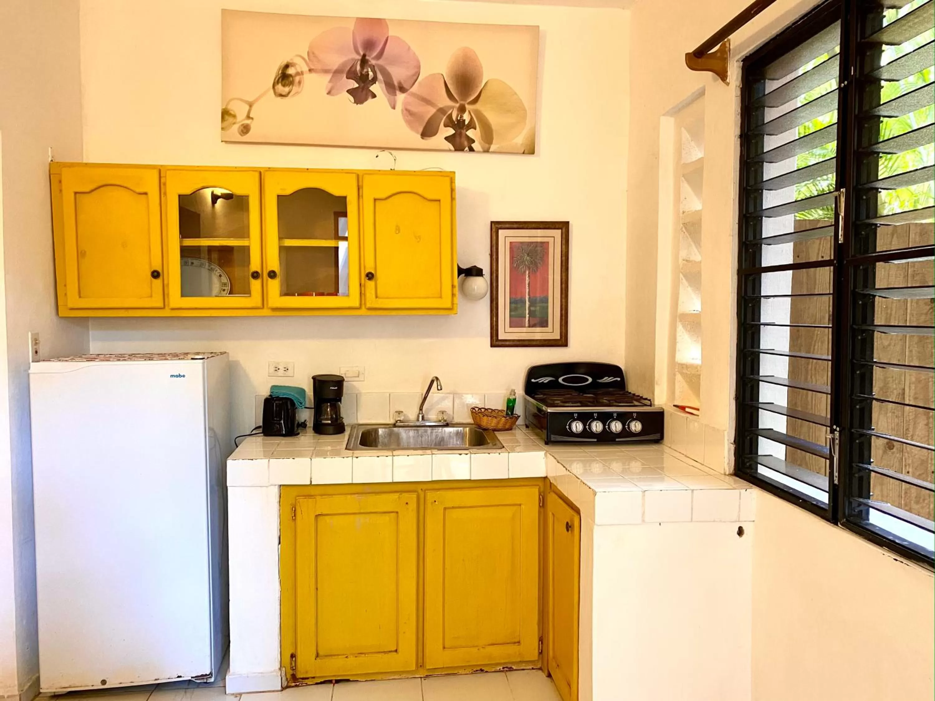 Kitchen or kitchenette in Hotel Alegria