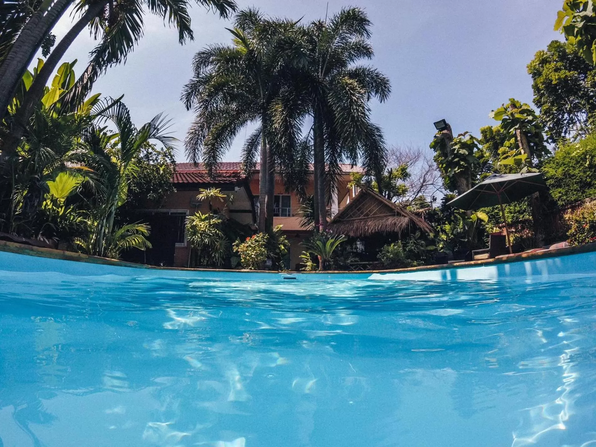 Swimming pool in Liam's Guesthouse Adults Only