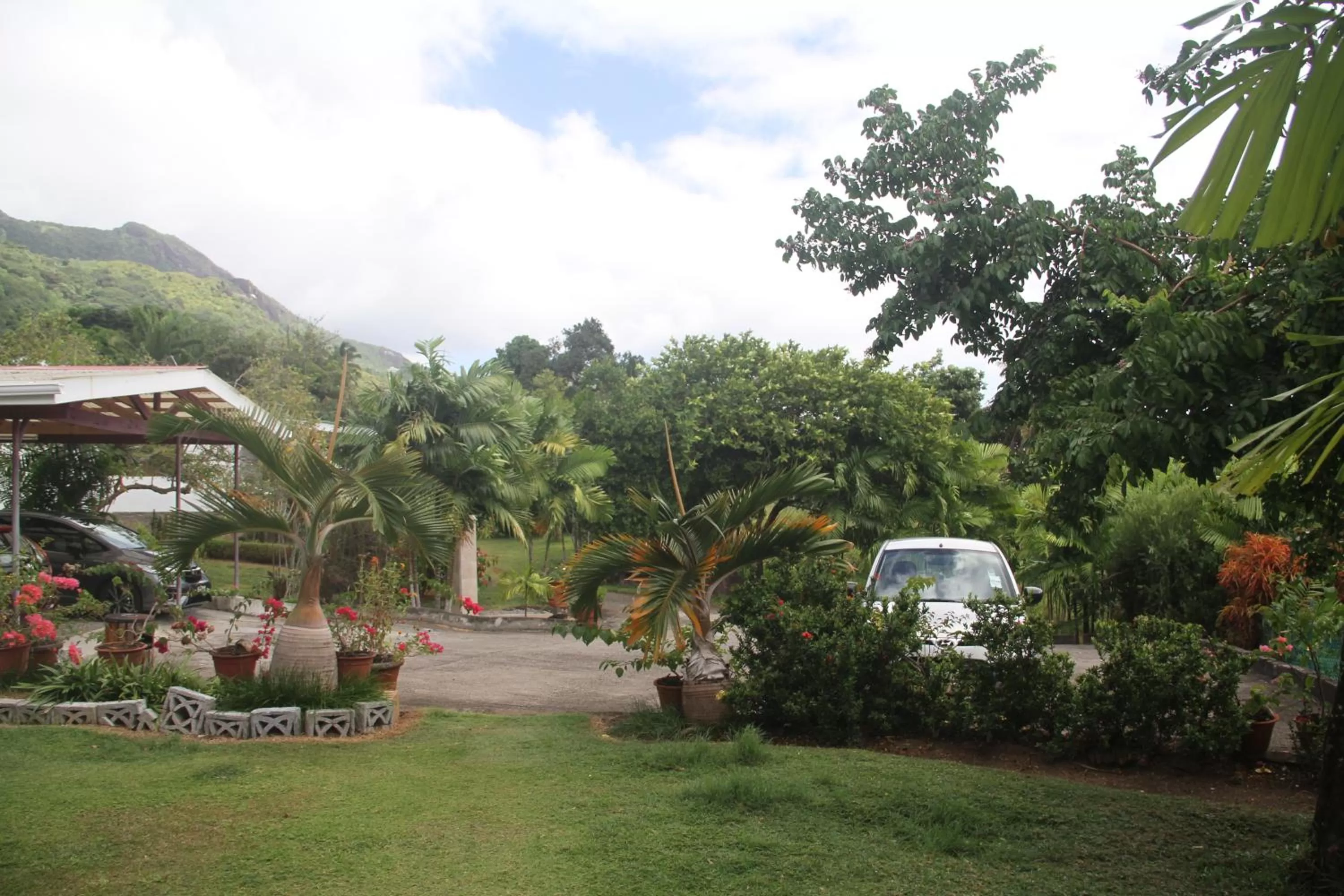 Other, Garden in Daniella's Bungalows