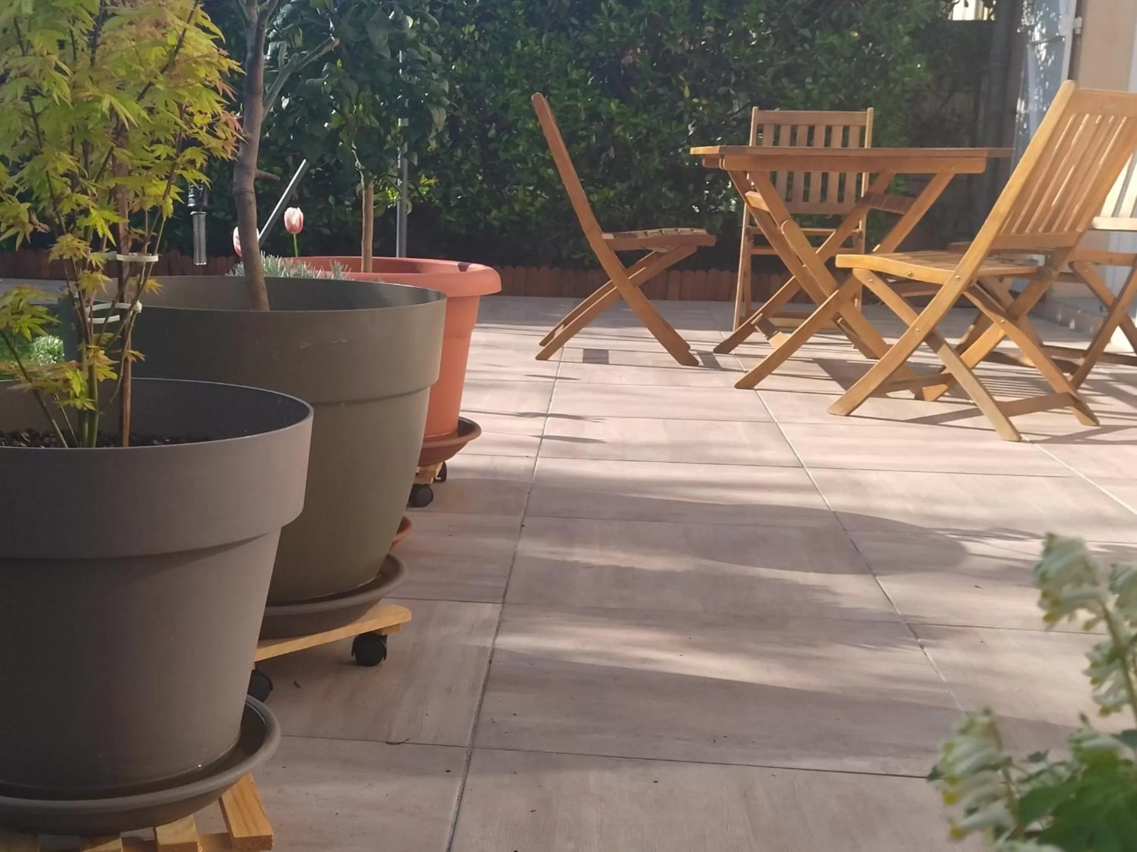 Patio in Fleurs de Cosmos