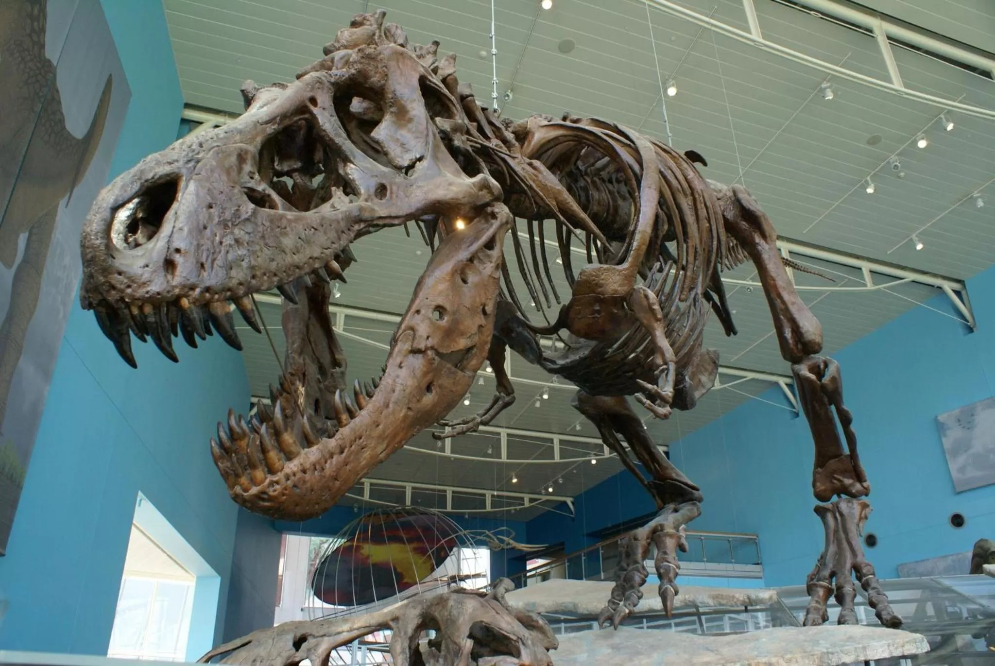 Area and facilities in Staybridge Suites Baltimore - Inner Harbor by IHG