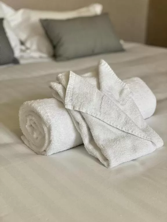 towels, Bed in Hôtel Particulier CHÂTEAU DES MARAIS Proximité et vue sur le Lac de Grand lieu