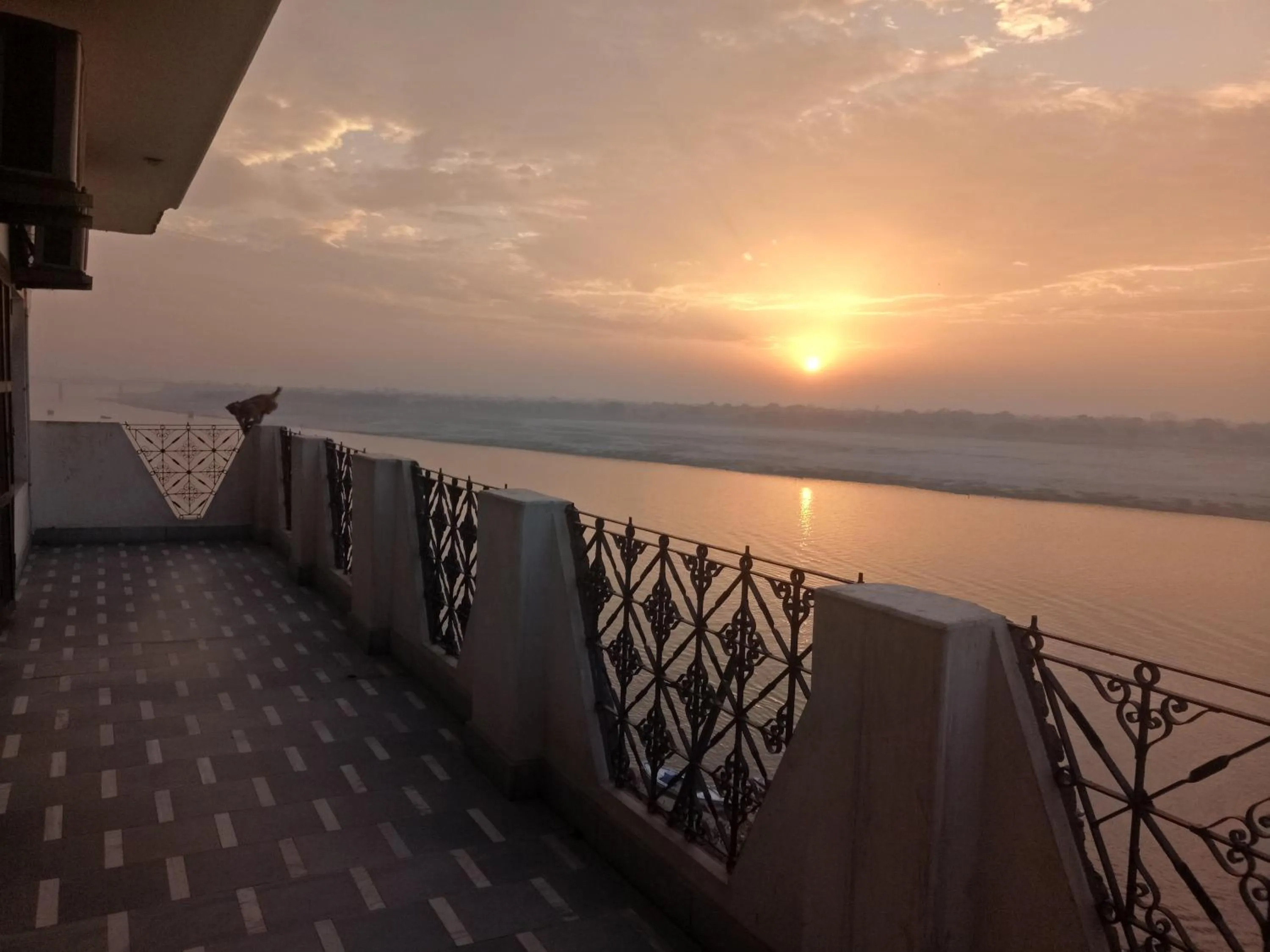 Summer in Scindhia Guest House