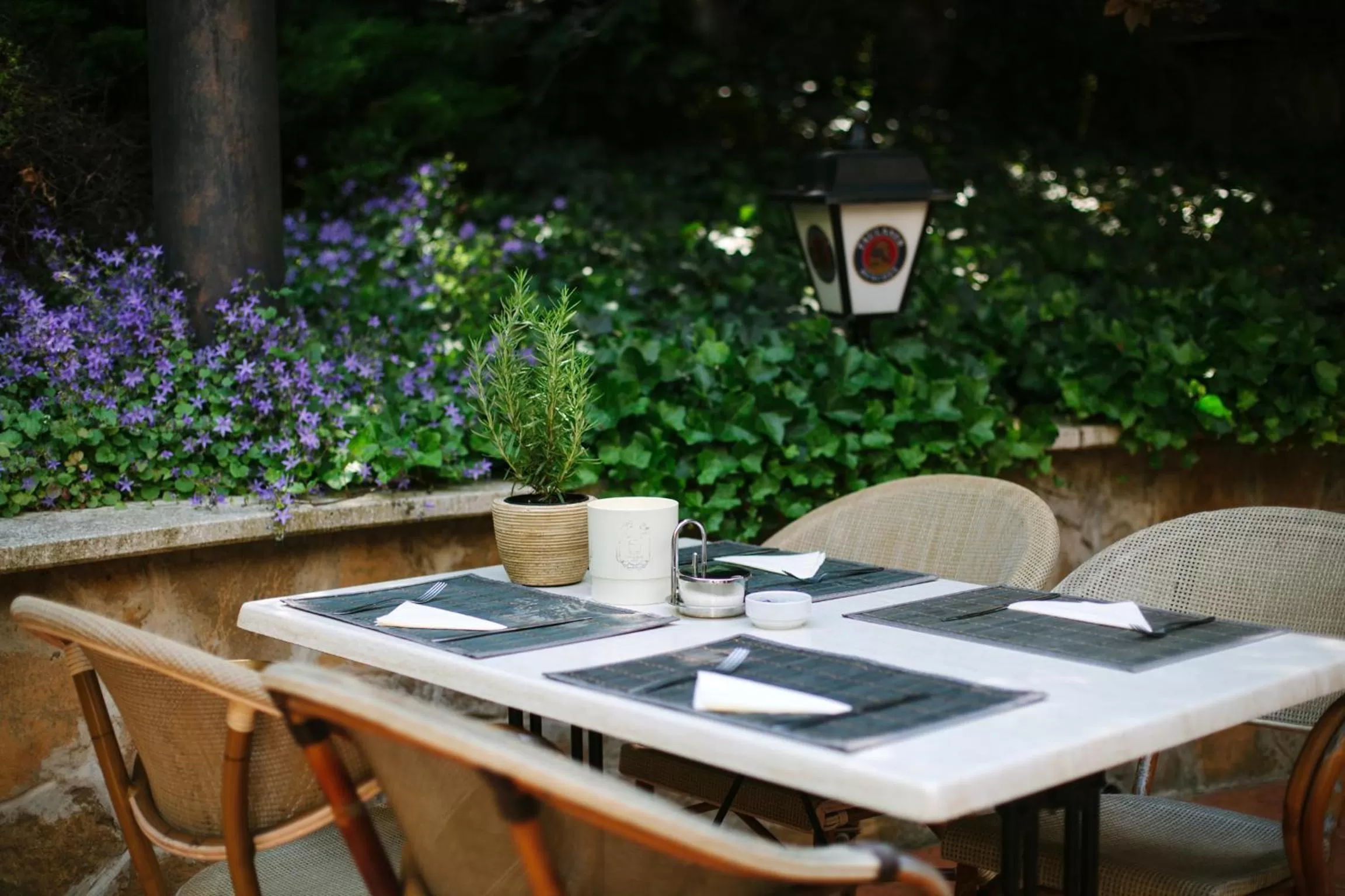 Garden in Hotel Mediterran