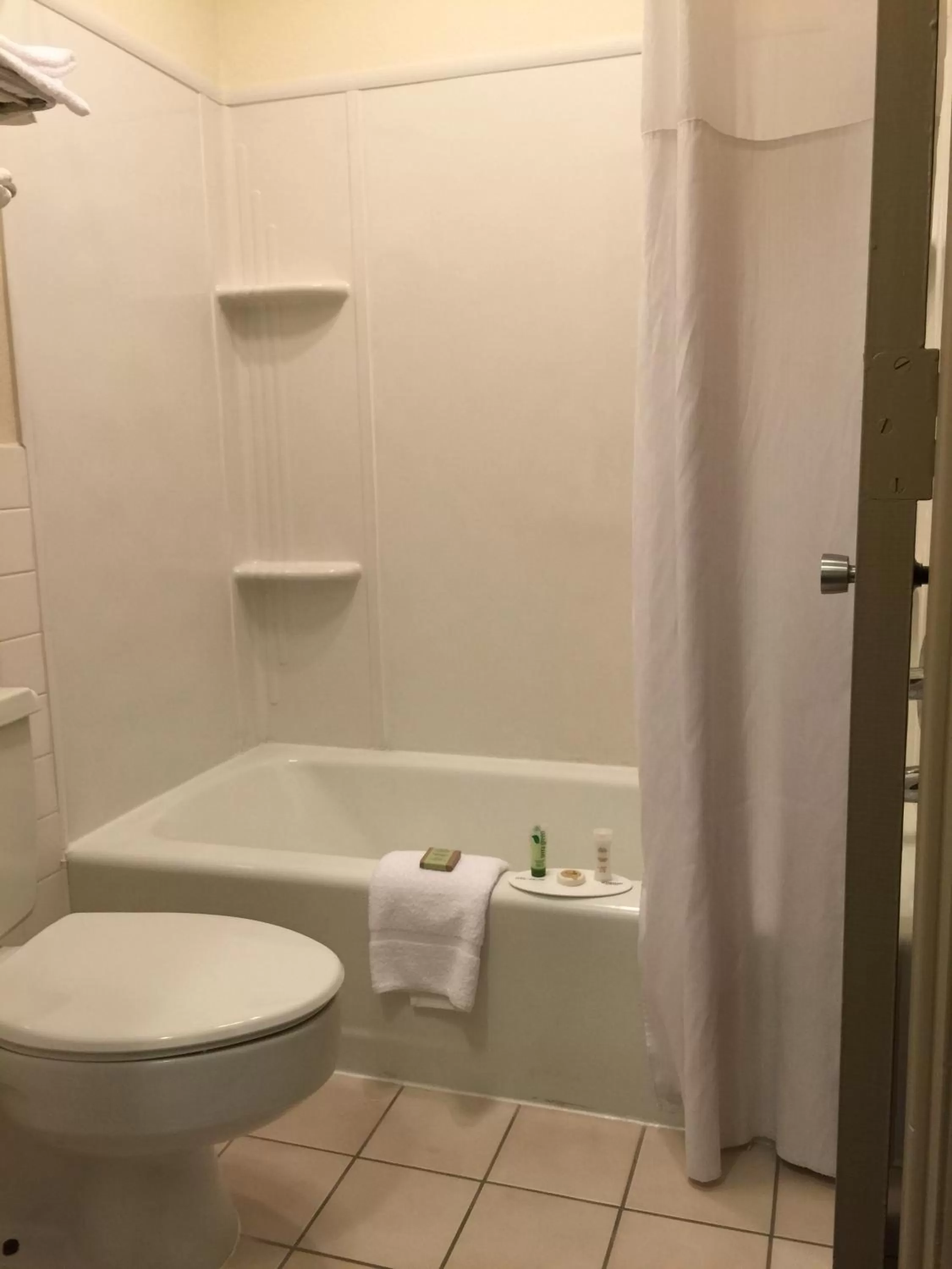 Toilet in Deluxe Inn & Suites
