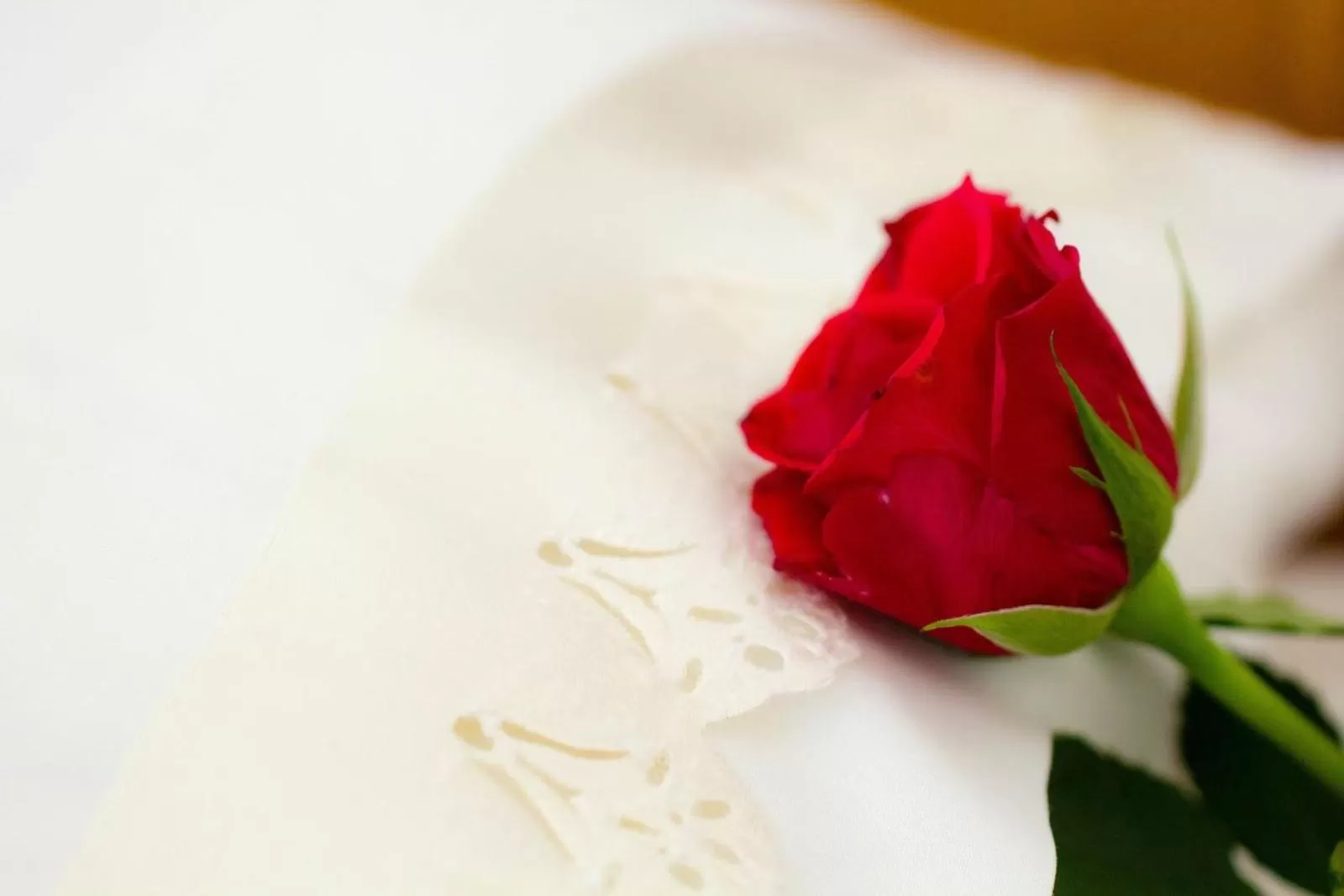 Decorative detail in Kathleens Country House