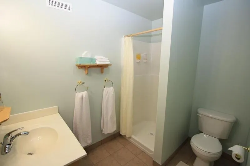 Bathroom in Glenogle Mountain Lodge and Spa