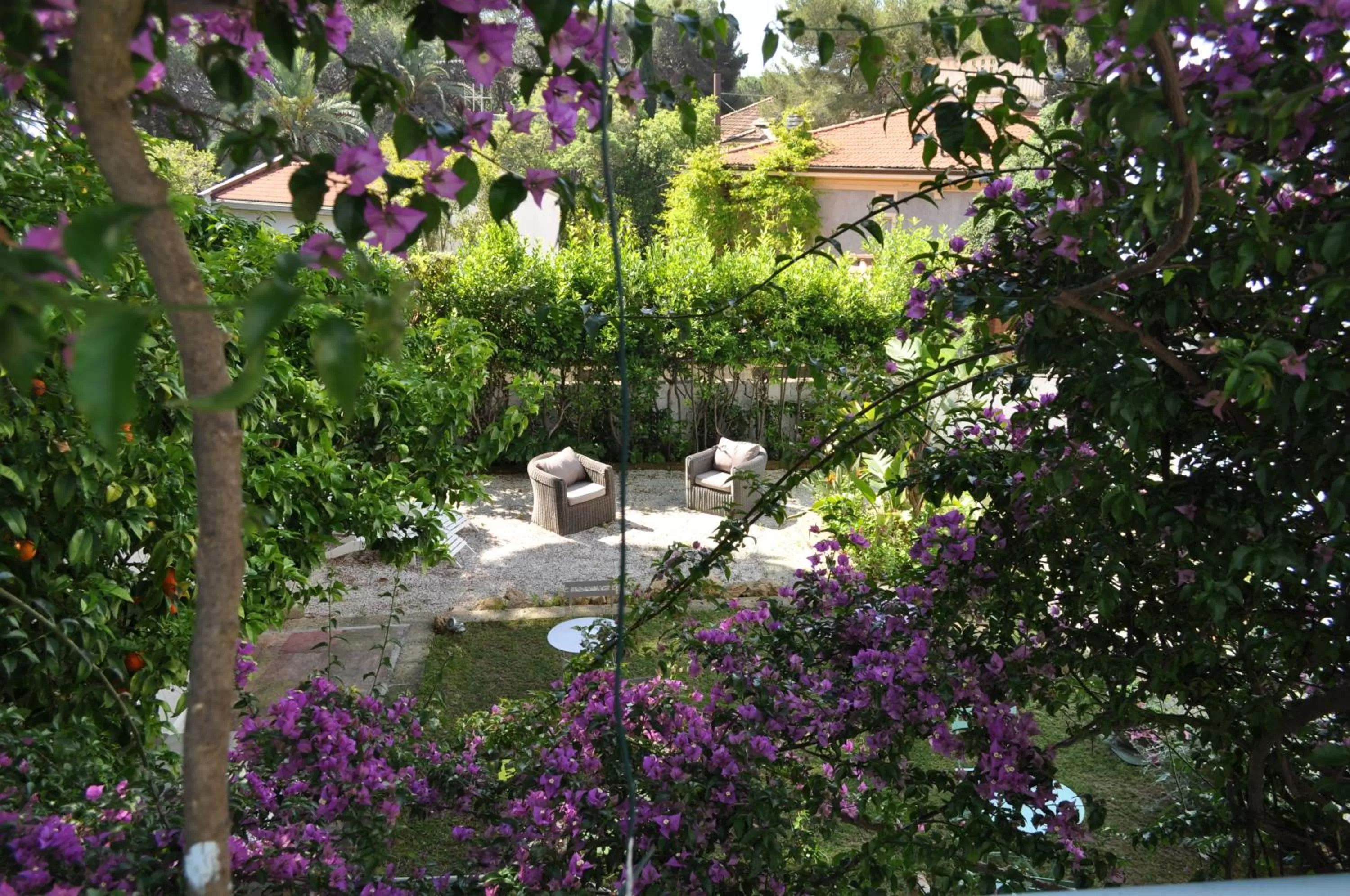 Bird's eye view in Guerrini Hotel