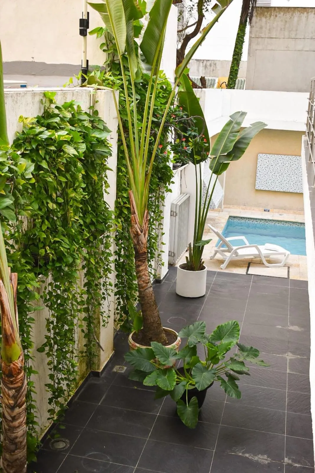 Patio in Hotel Or Cartagena