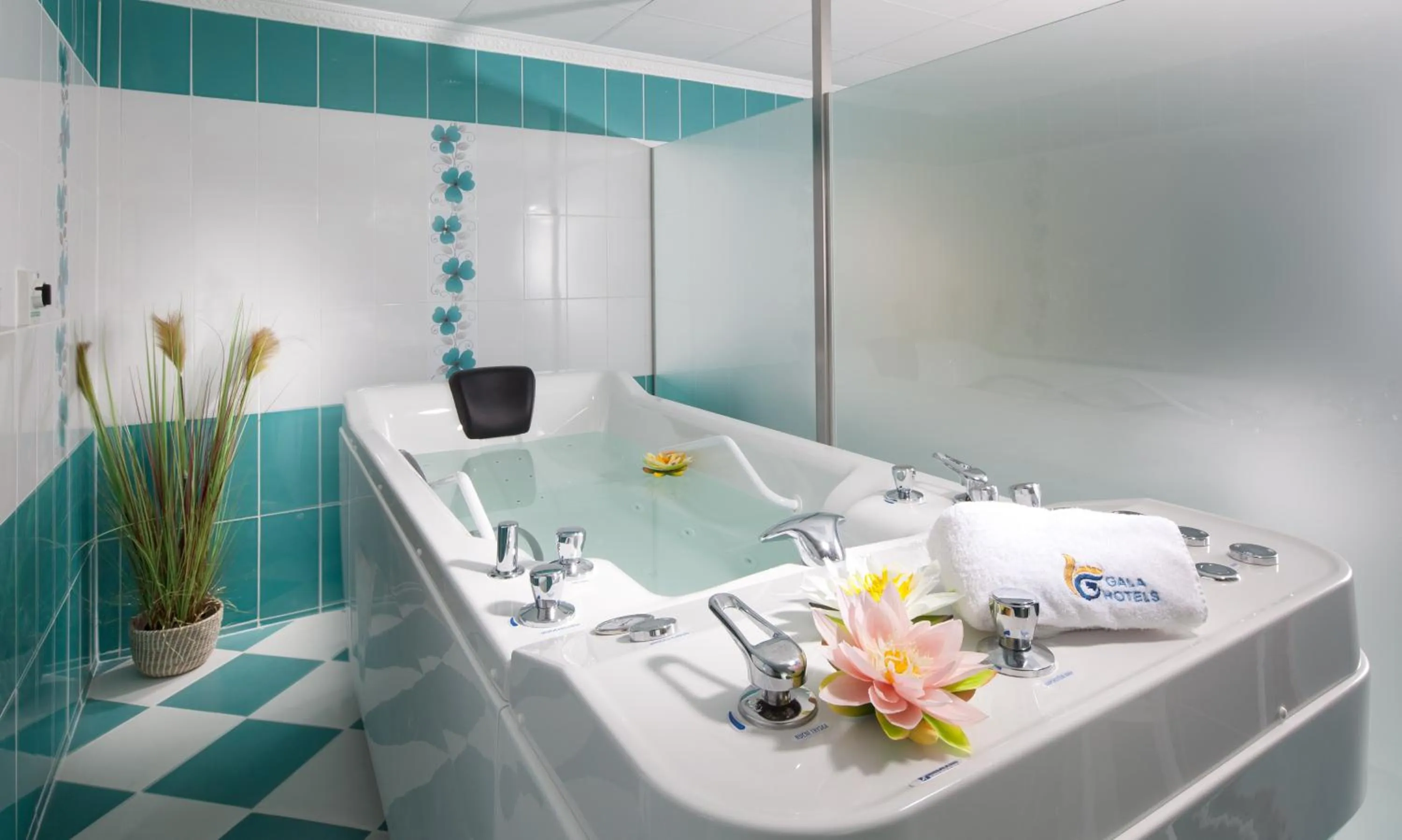 Spa and wellness centre/facilities in Hotel Excelsior