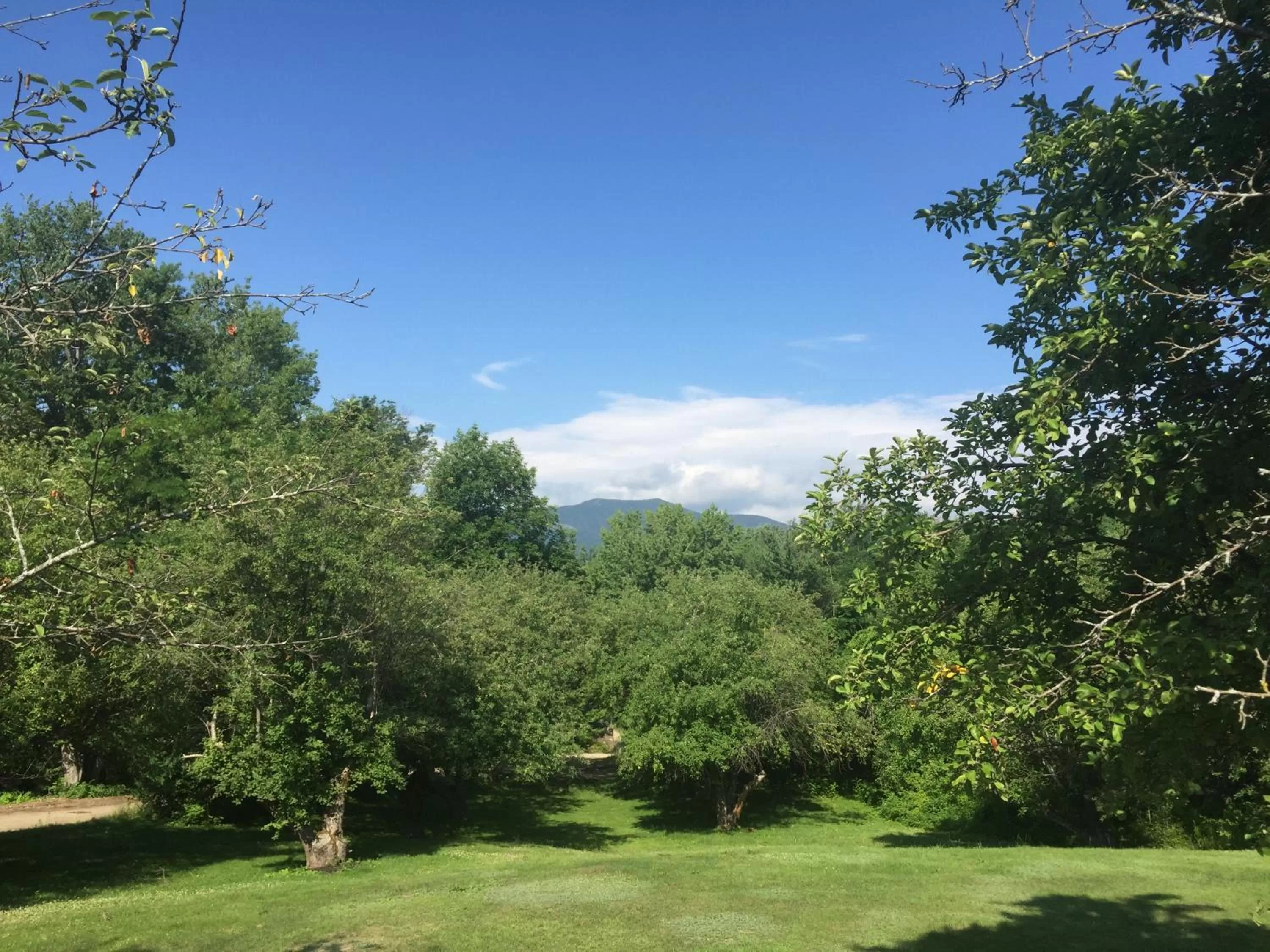 Day in Briarcliff Motel