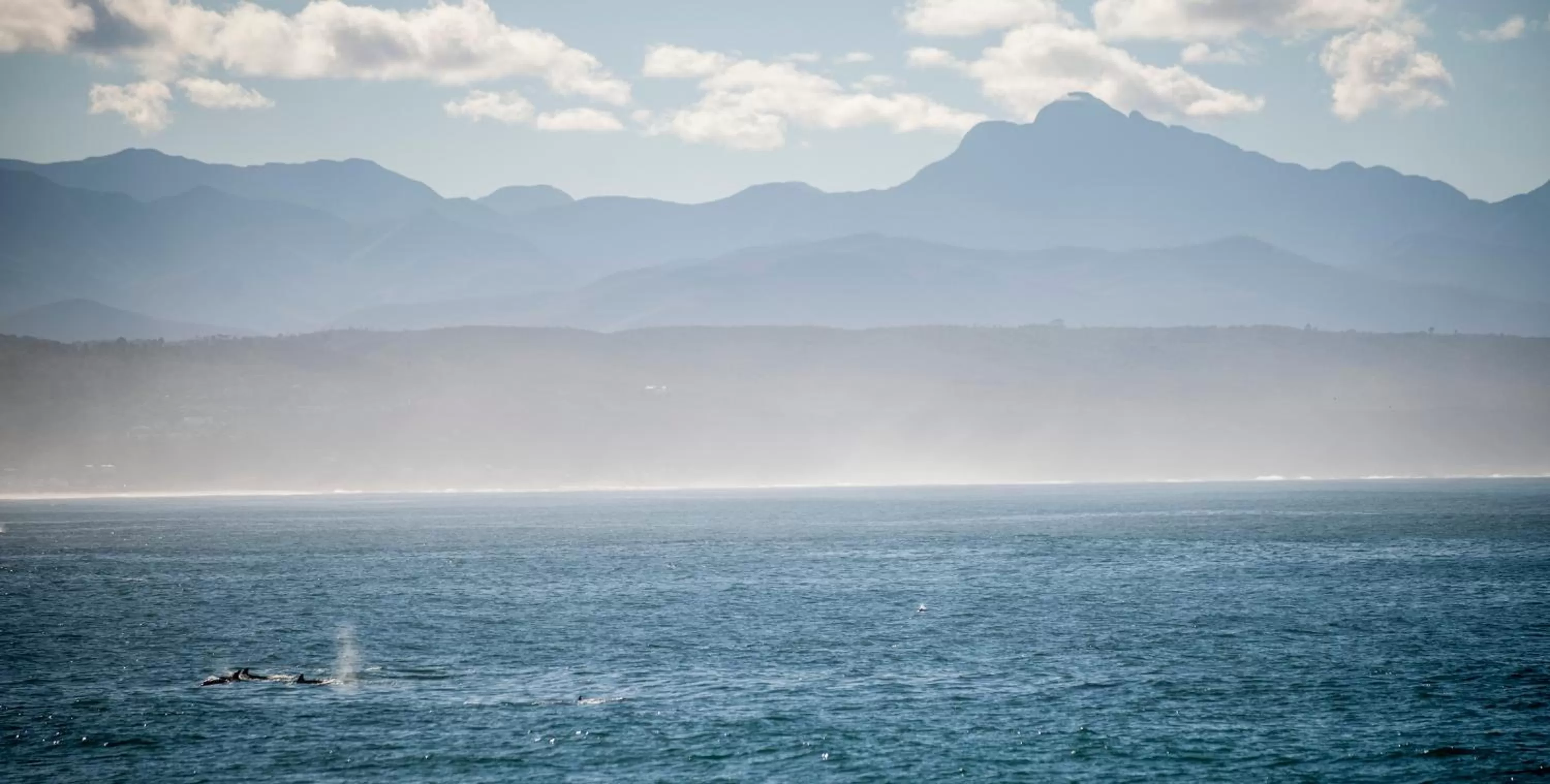 Sea view in Panoramic Blue B&B