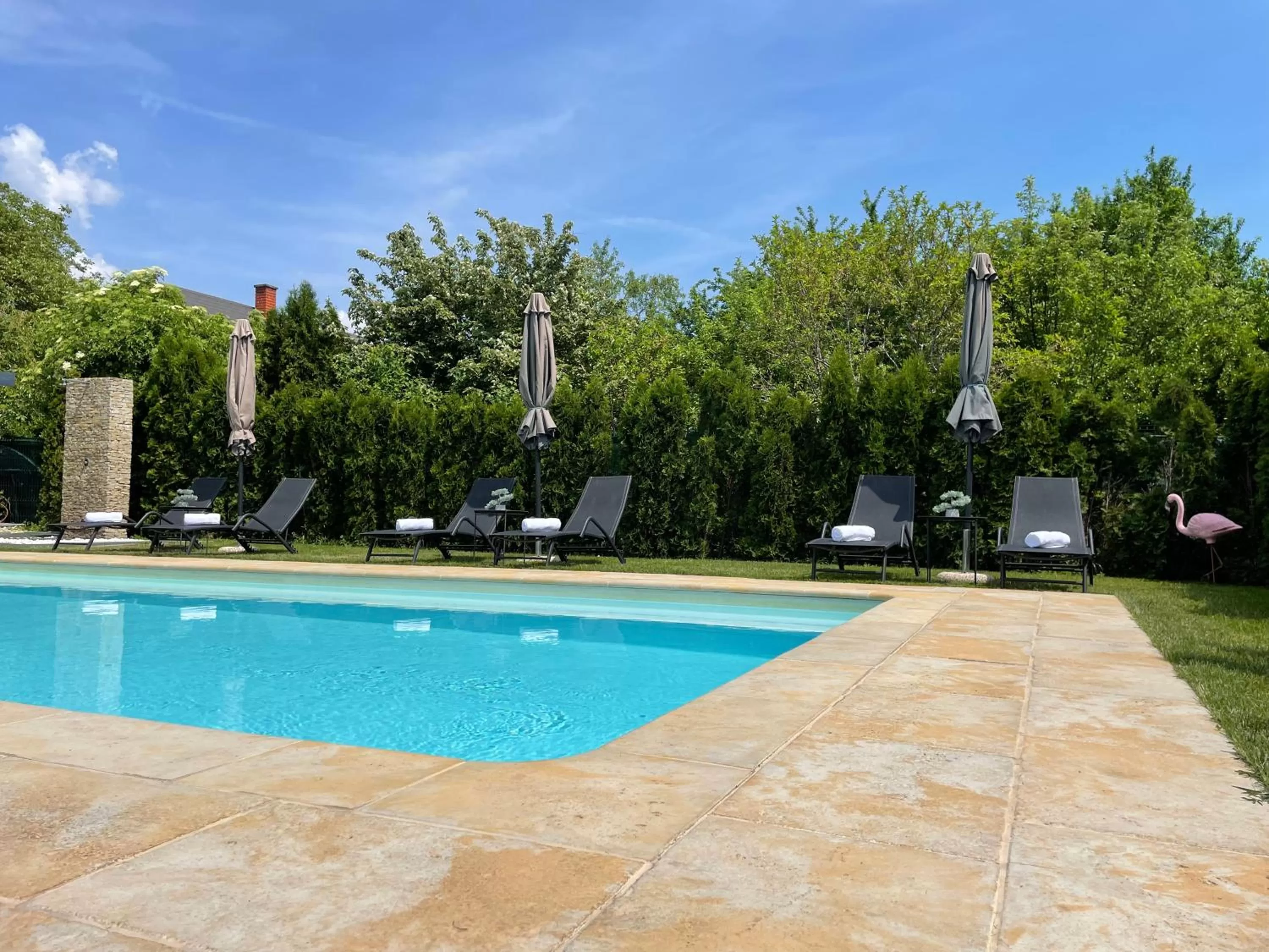 Swimming Pool in Villa Aruba & Private SPA Suites