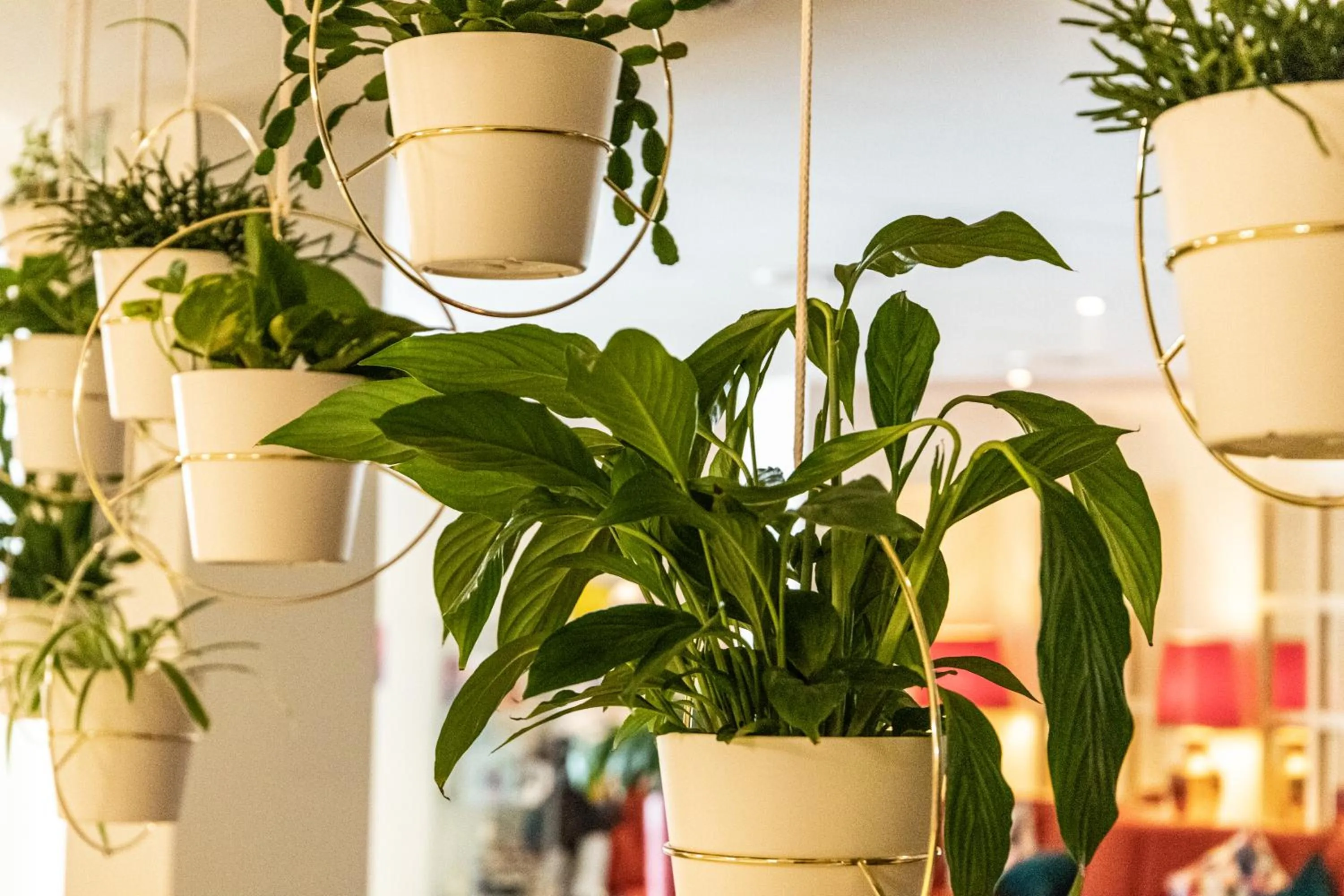 Lobby or reception in Hotel Saalbacher Hof