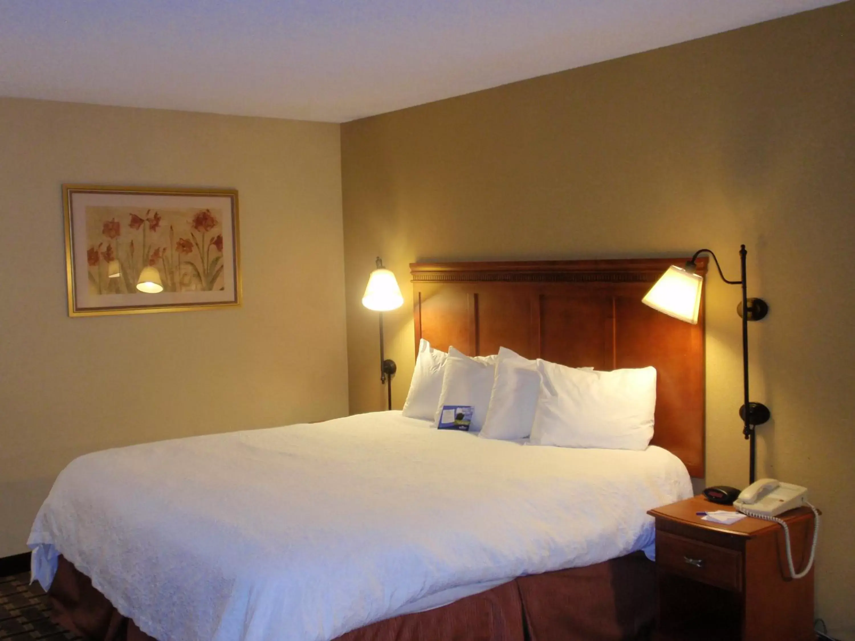 Double Room - Hearing Accessible/Non-Smoking in Baymont by Wyndham Lewisville Double Room - Hearing Accessible/Non-Smoking in Baymont by Wyndham Lewisville