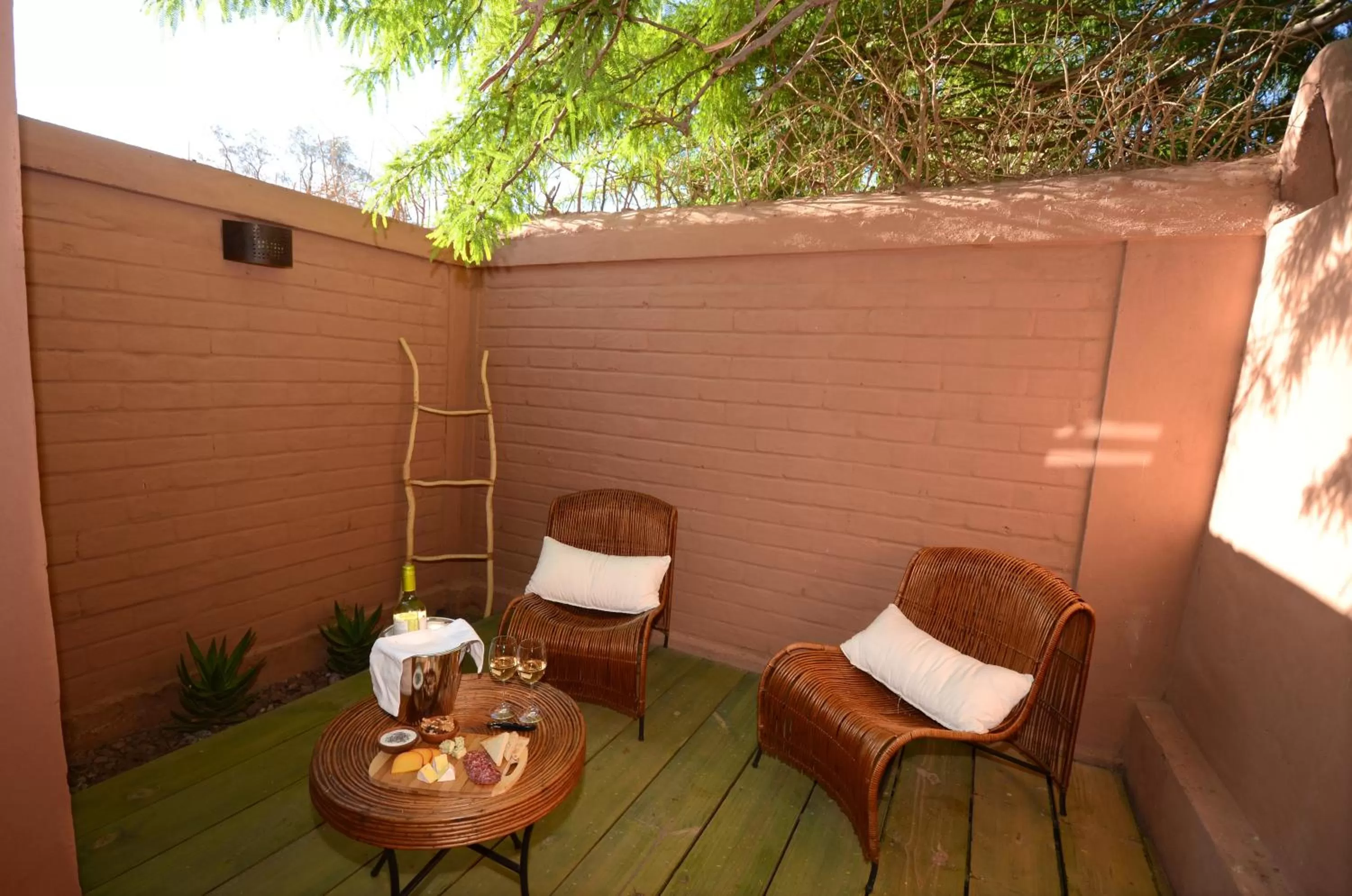 Patio in Hotel Pascual Andino