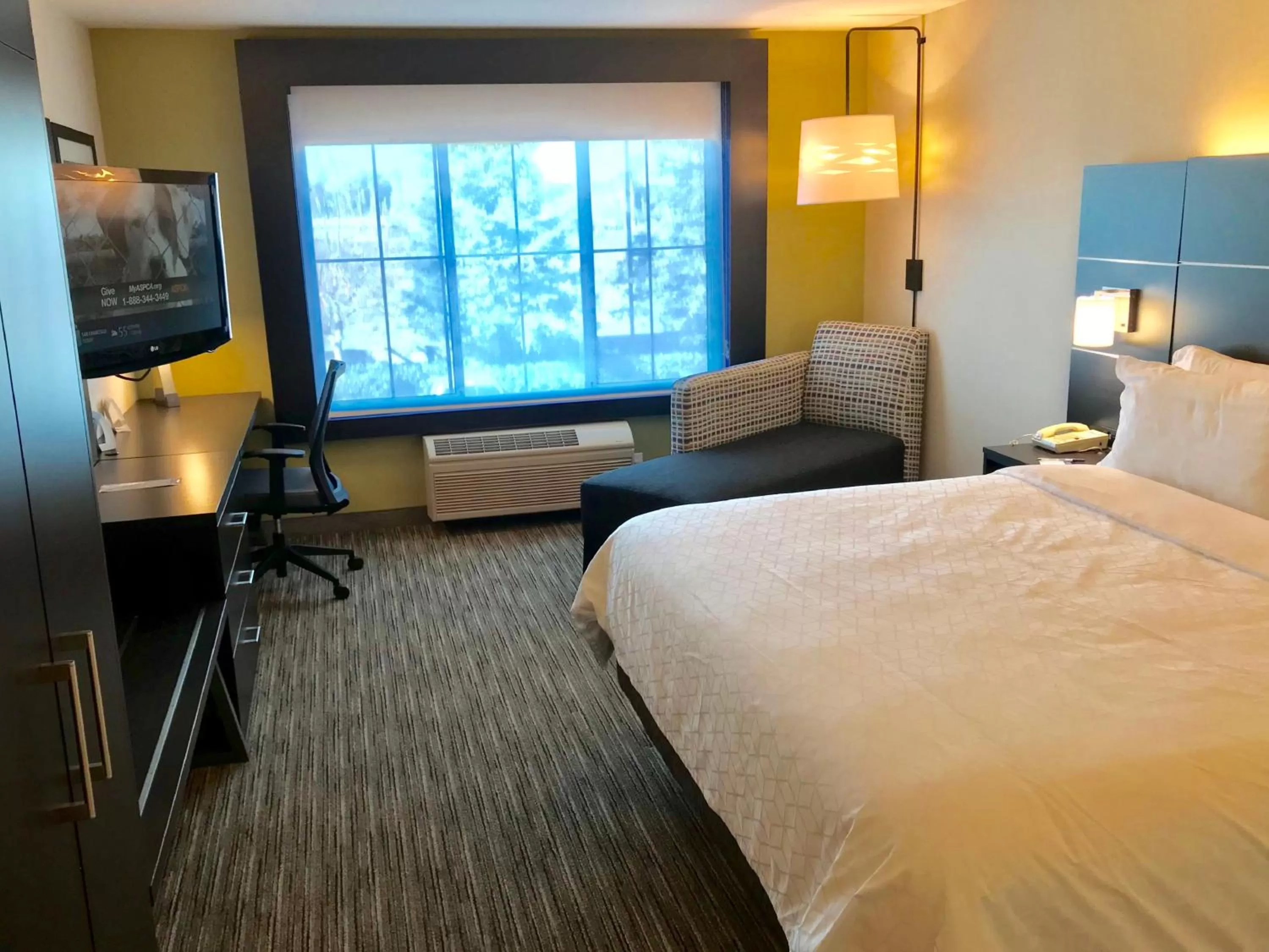 Photo of the whole room, Bed in Holiday Inn Express & Suites Tracy by IHG