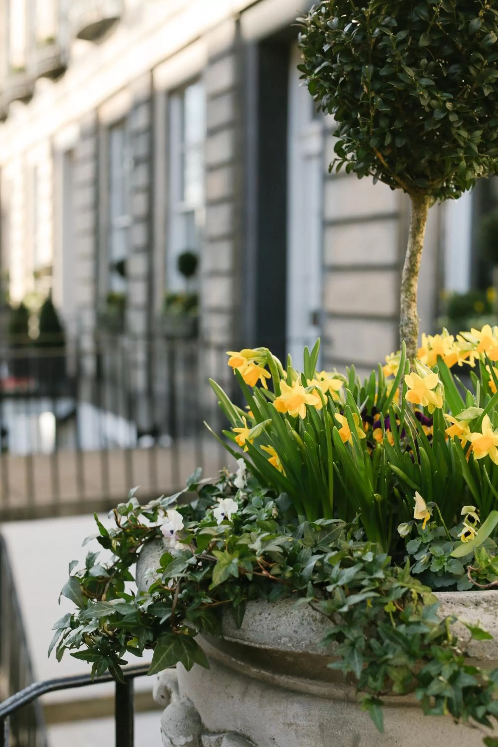 Patio in Nira Caledonia