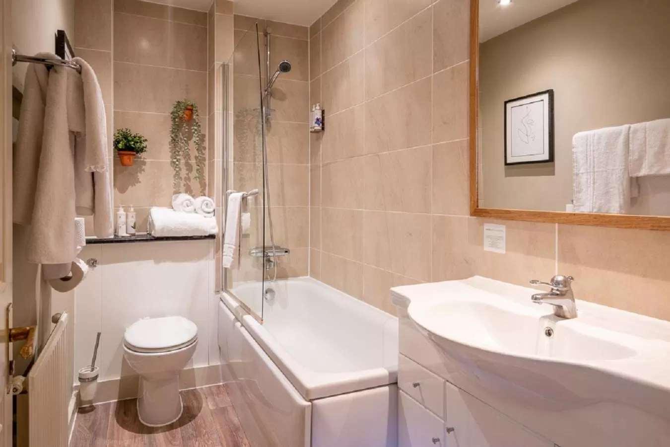 Bathroom in The Bird In Hand