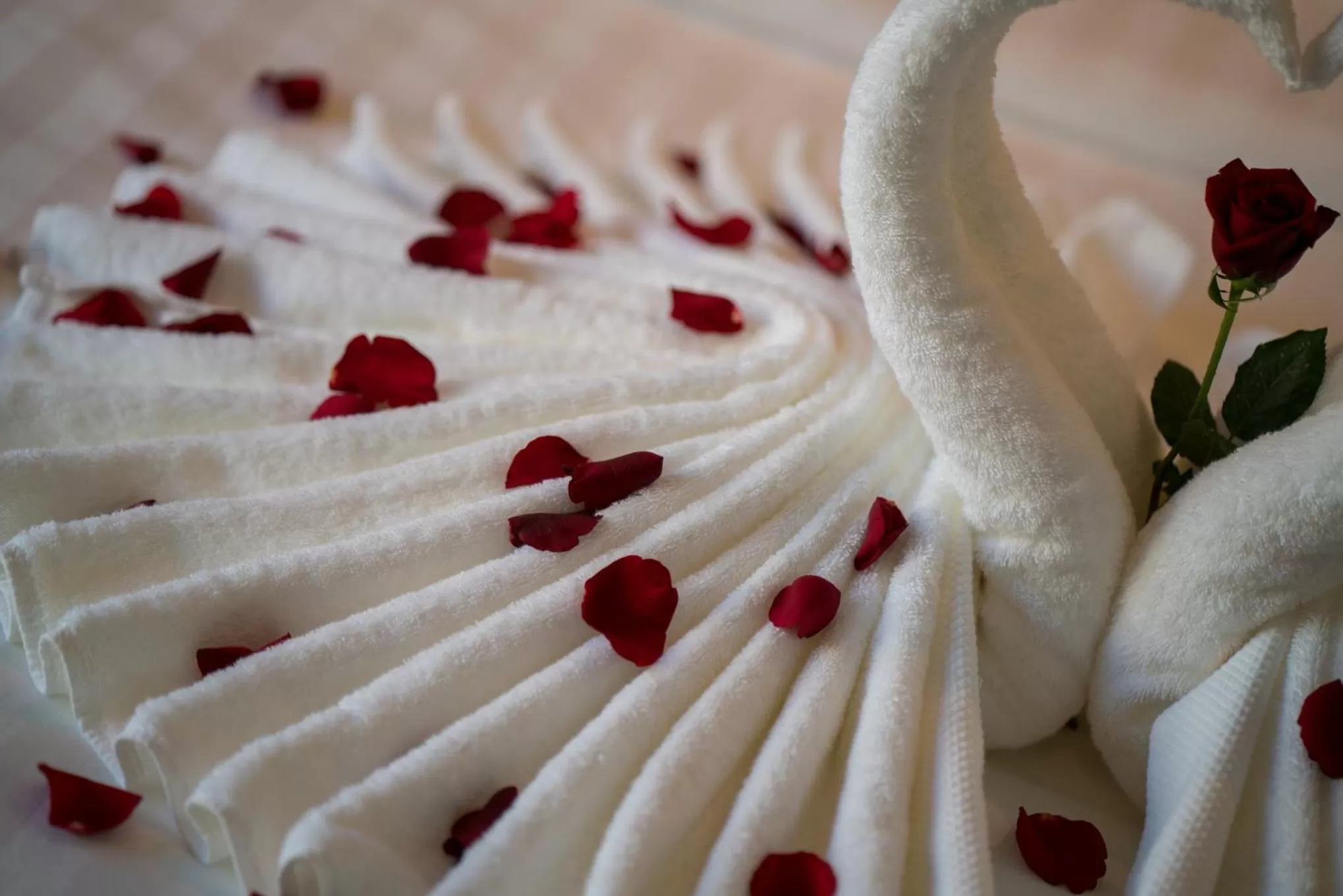 Bed in Orussey One Boutique