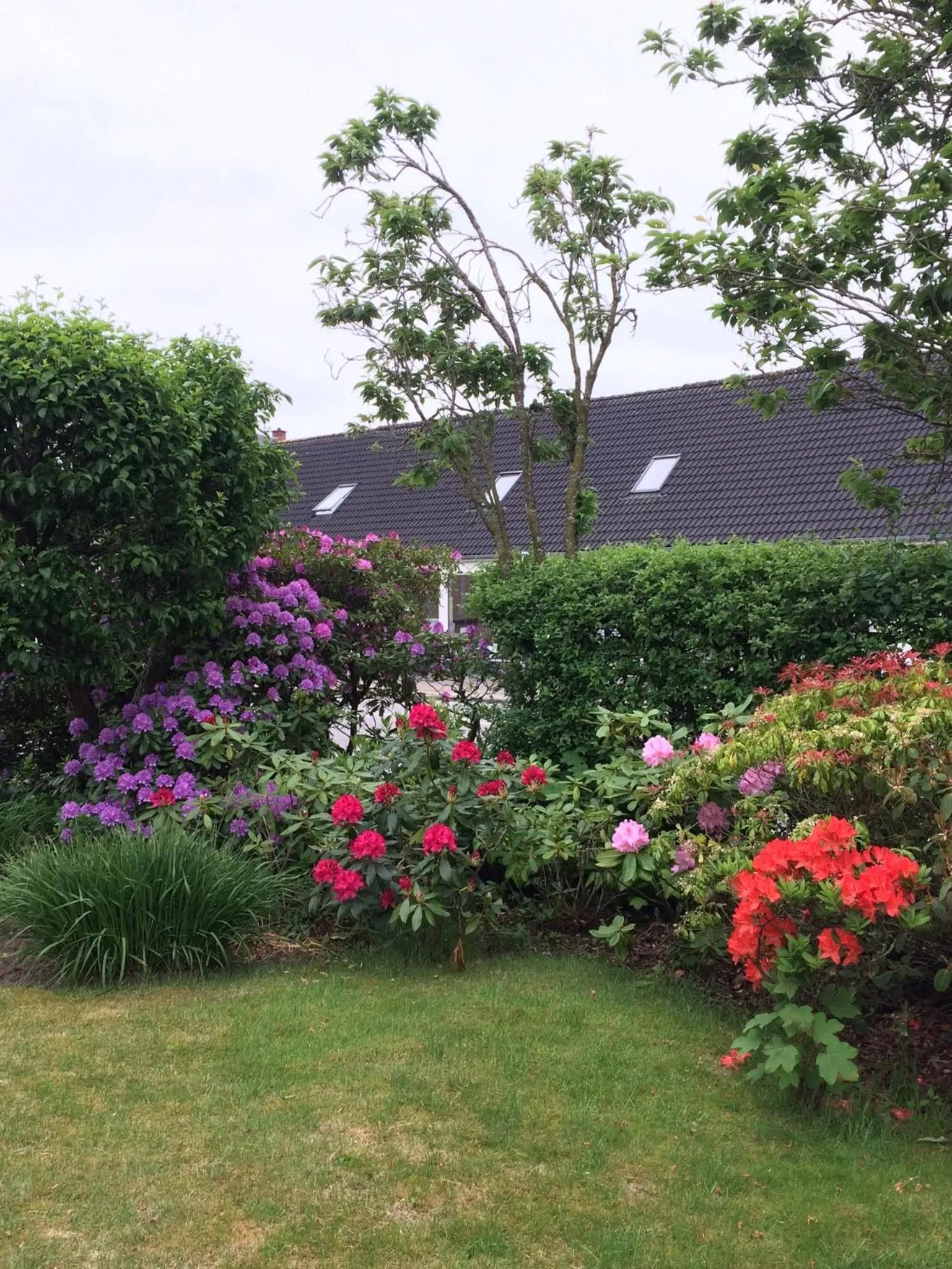 Garden in Herligheden