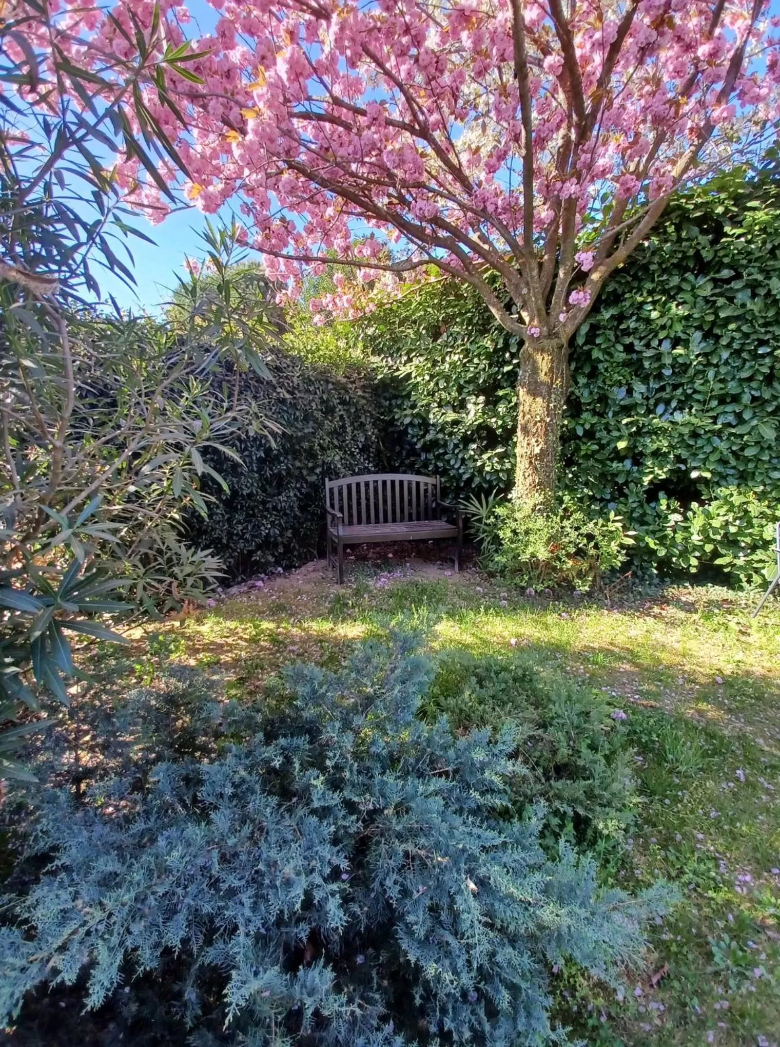 Spring in CASABELLA-LAGO MAGGIORE