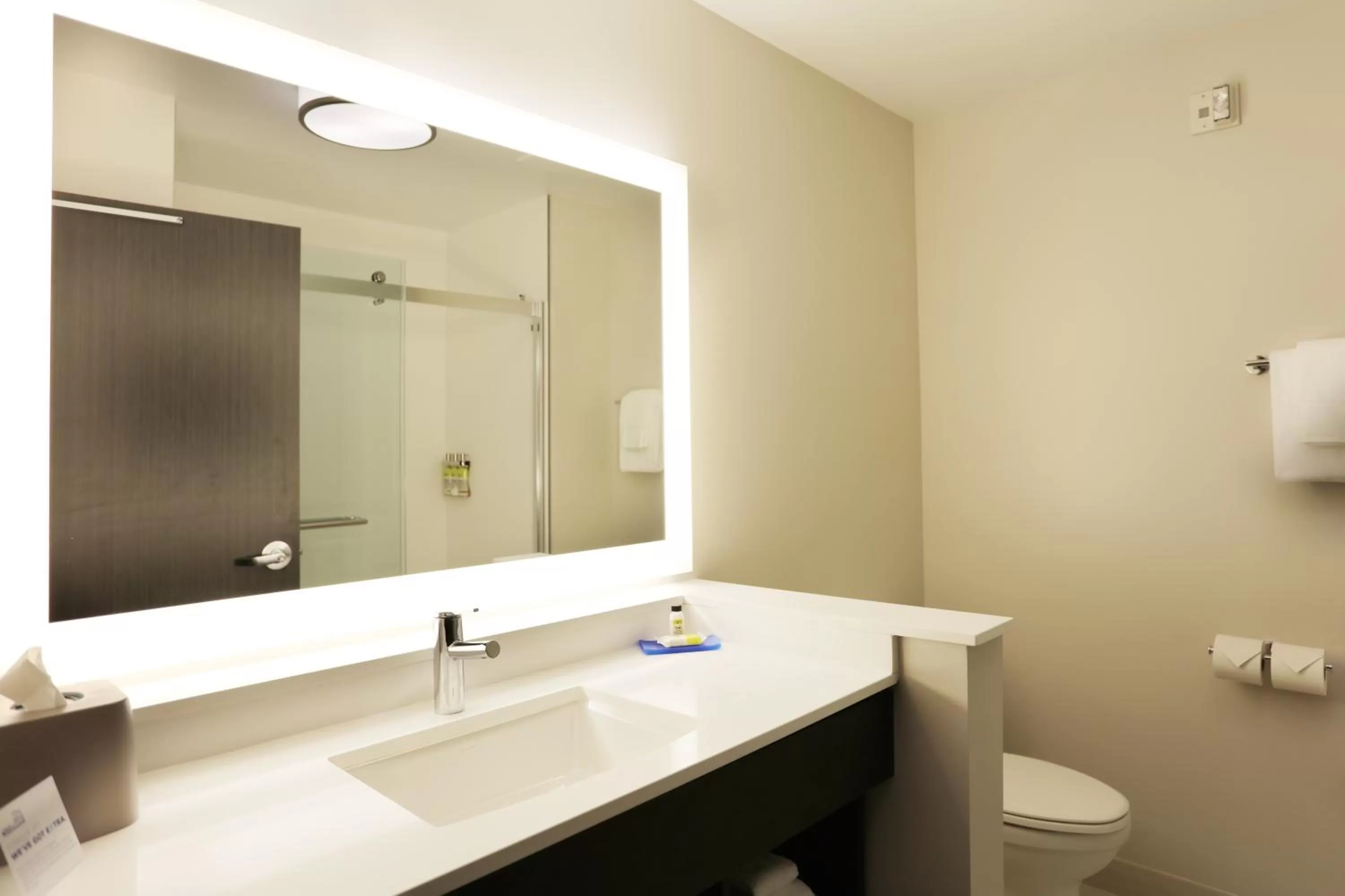 Bathroom in Holiday Inn Express Oneonta by IHG
