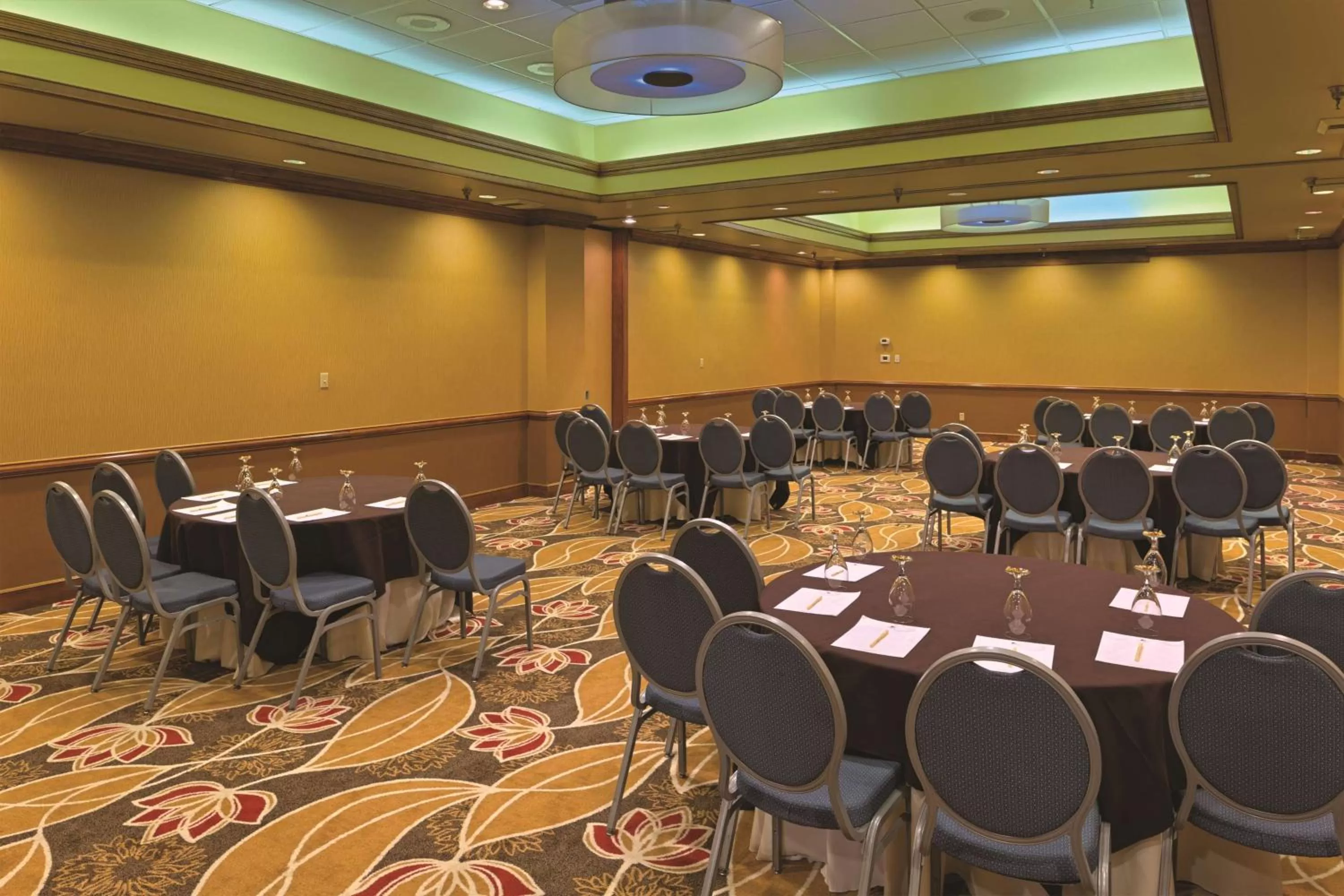 Meeting/conference room in DoubleTree by Hilton Biltmore/Asheville