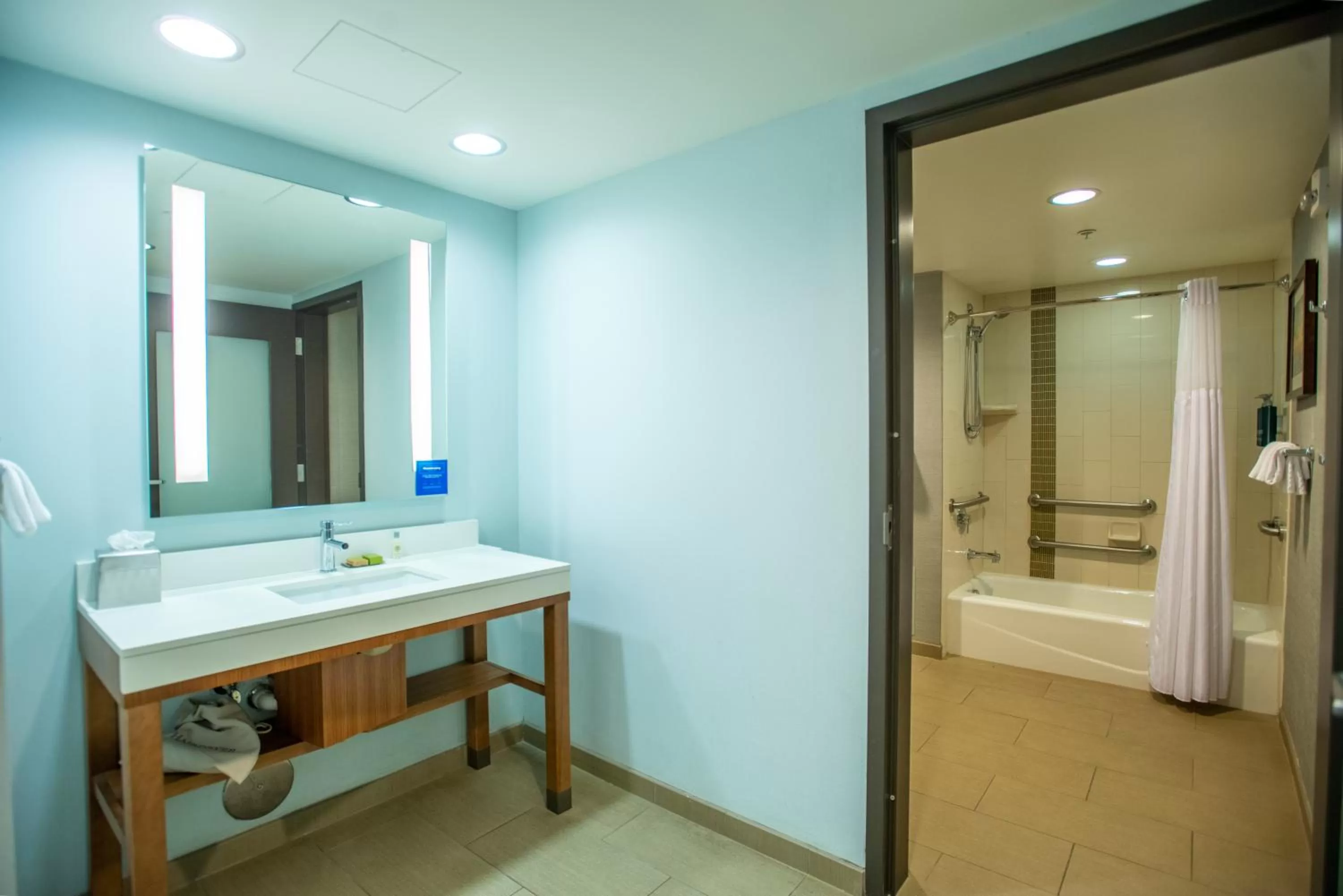 Bathroom in DoubleTree by Hilton Asheville Downtown