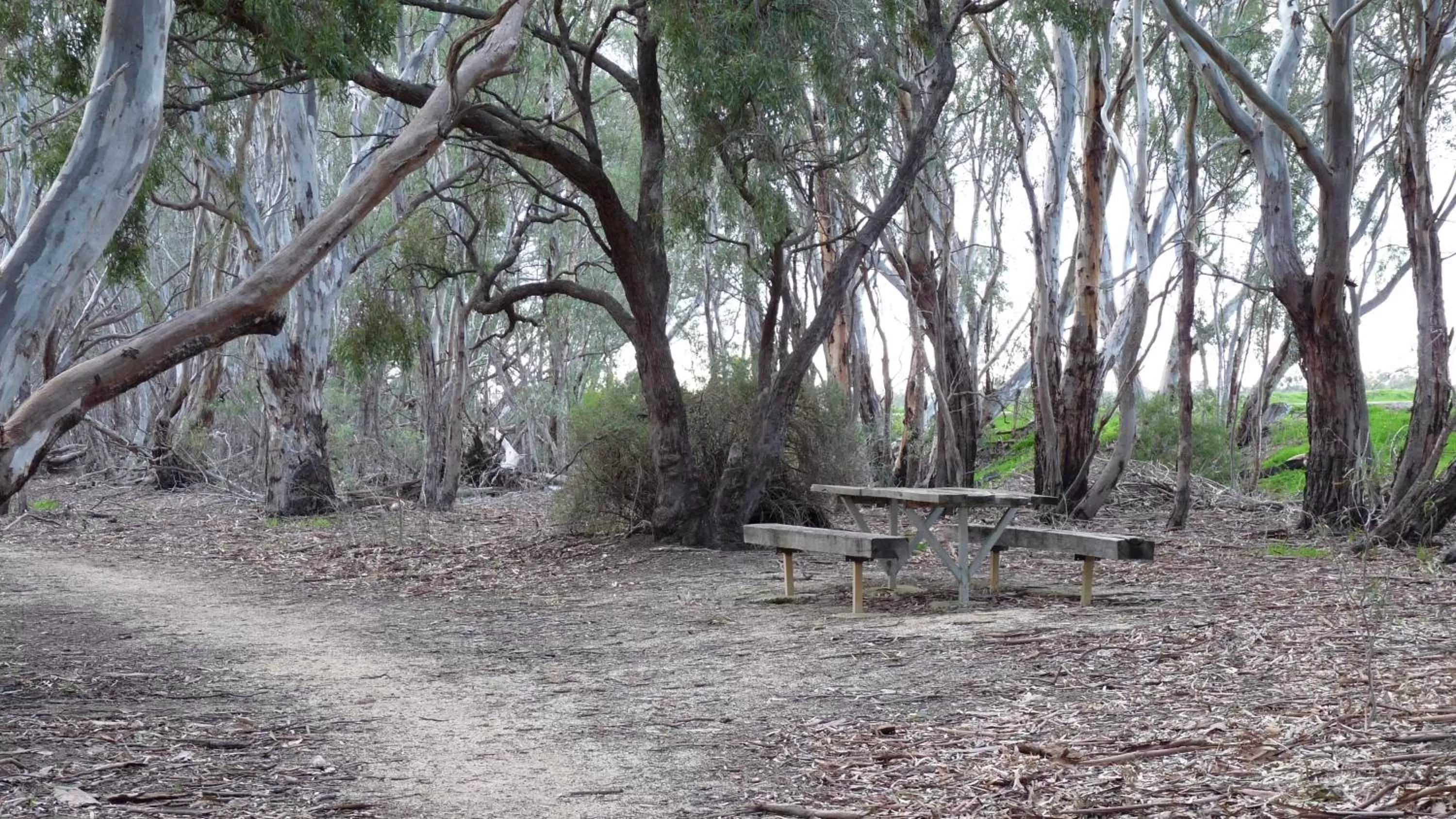 Natural landscape in Loddon River Motel Kerang