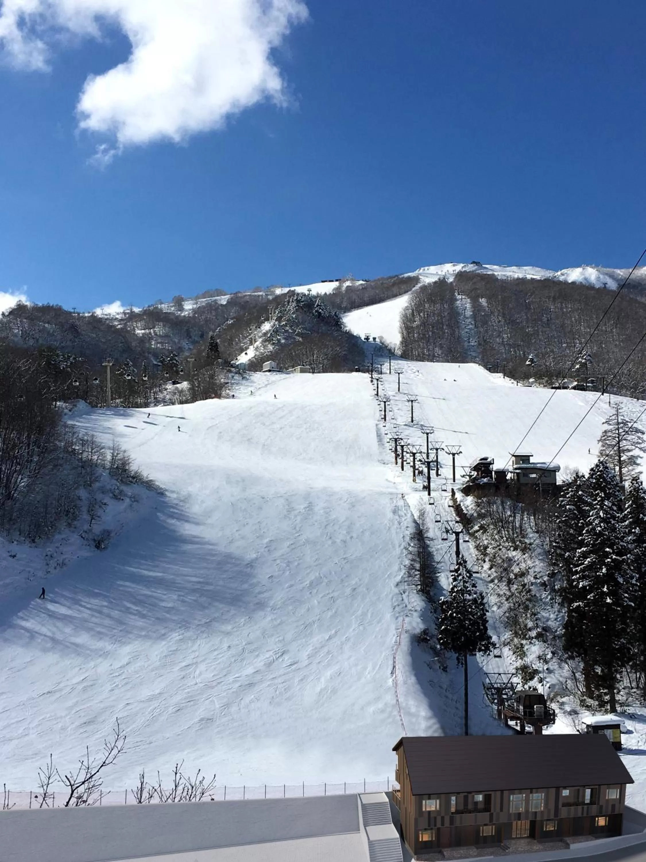 Bird's eye view in STARRY