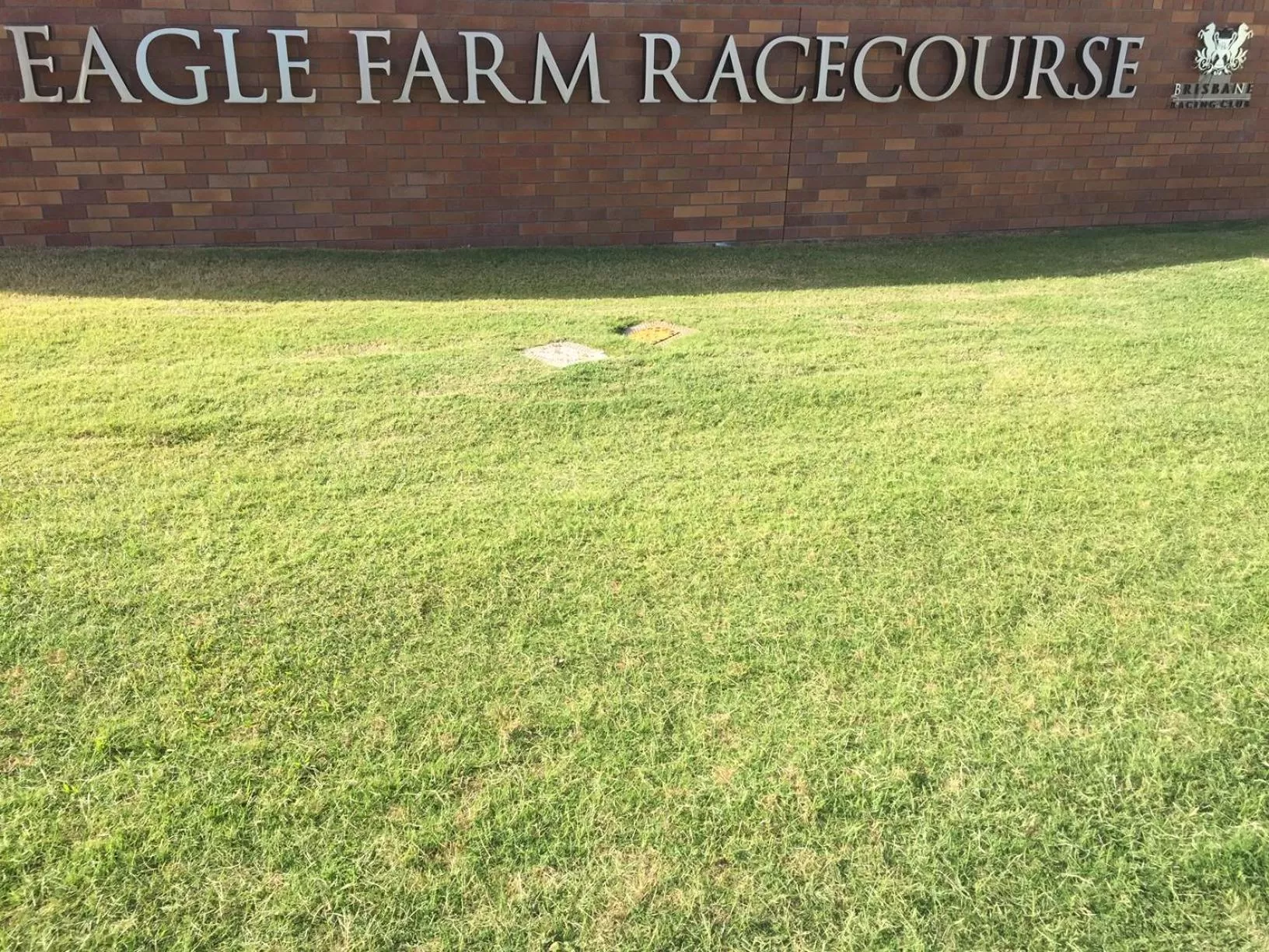 Horse-riding in Best Western Airport 85 Motel