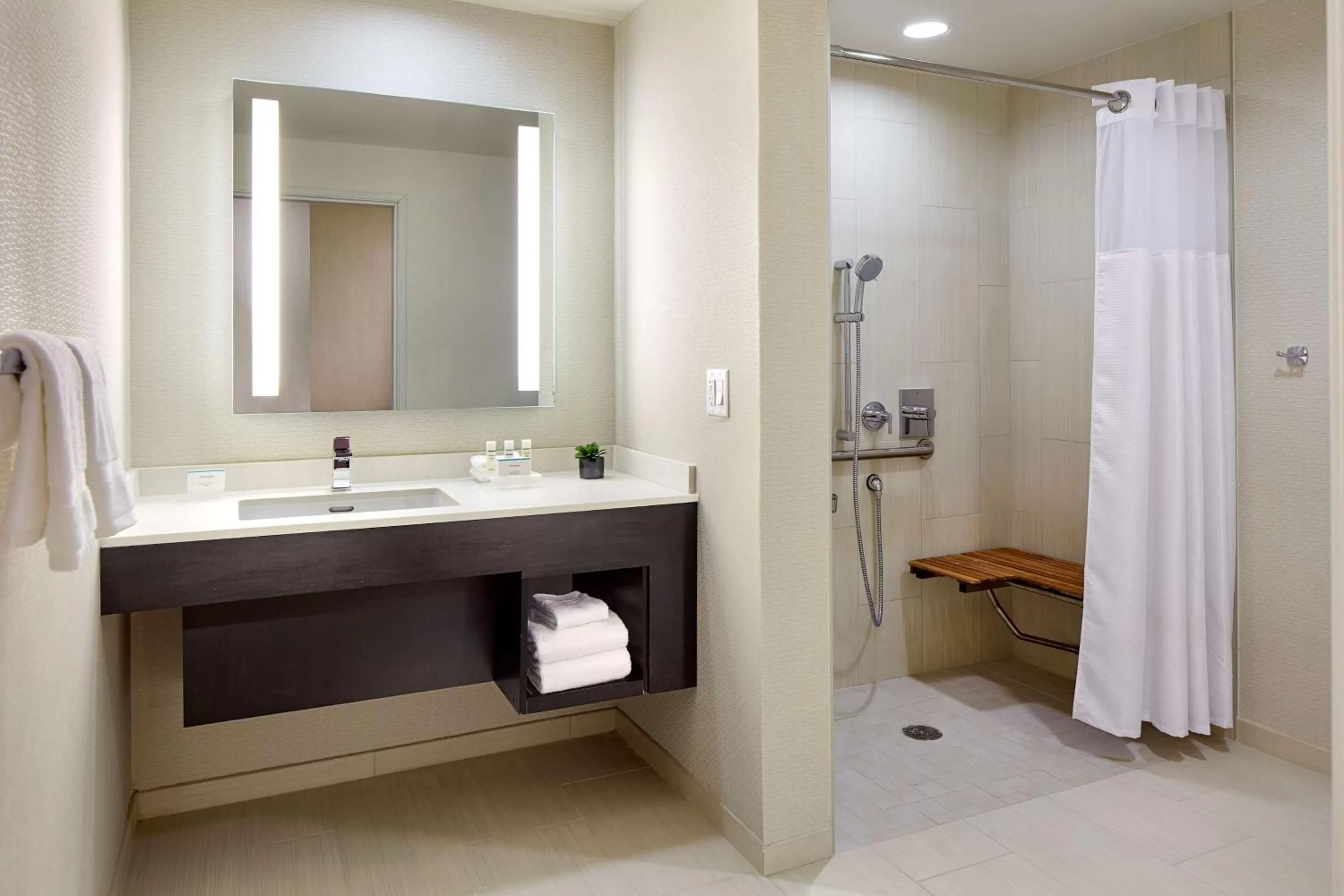 Bathroom in Homewood Suites by Hilton San Diego Downtown/Bayside
