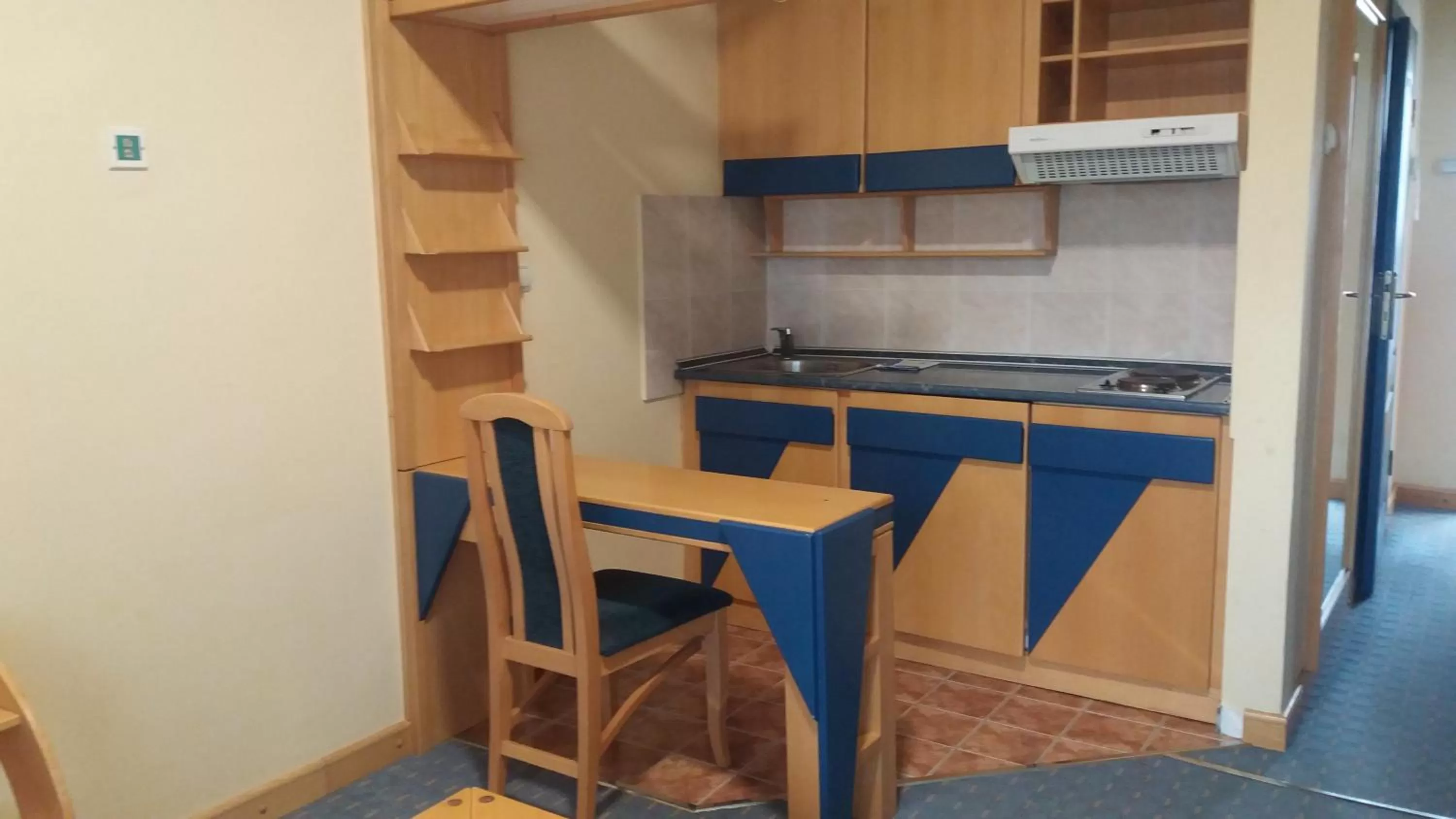 Kitchen or kitchenette in Garni Lupus prenoćište