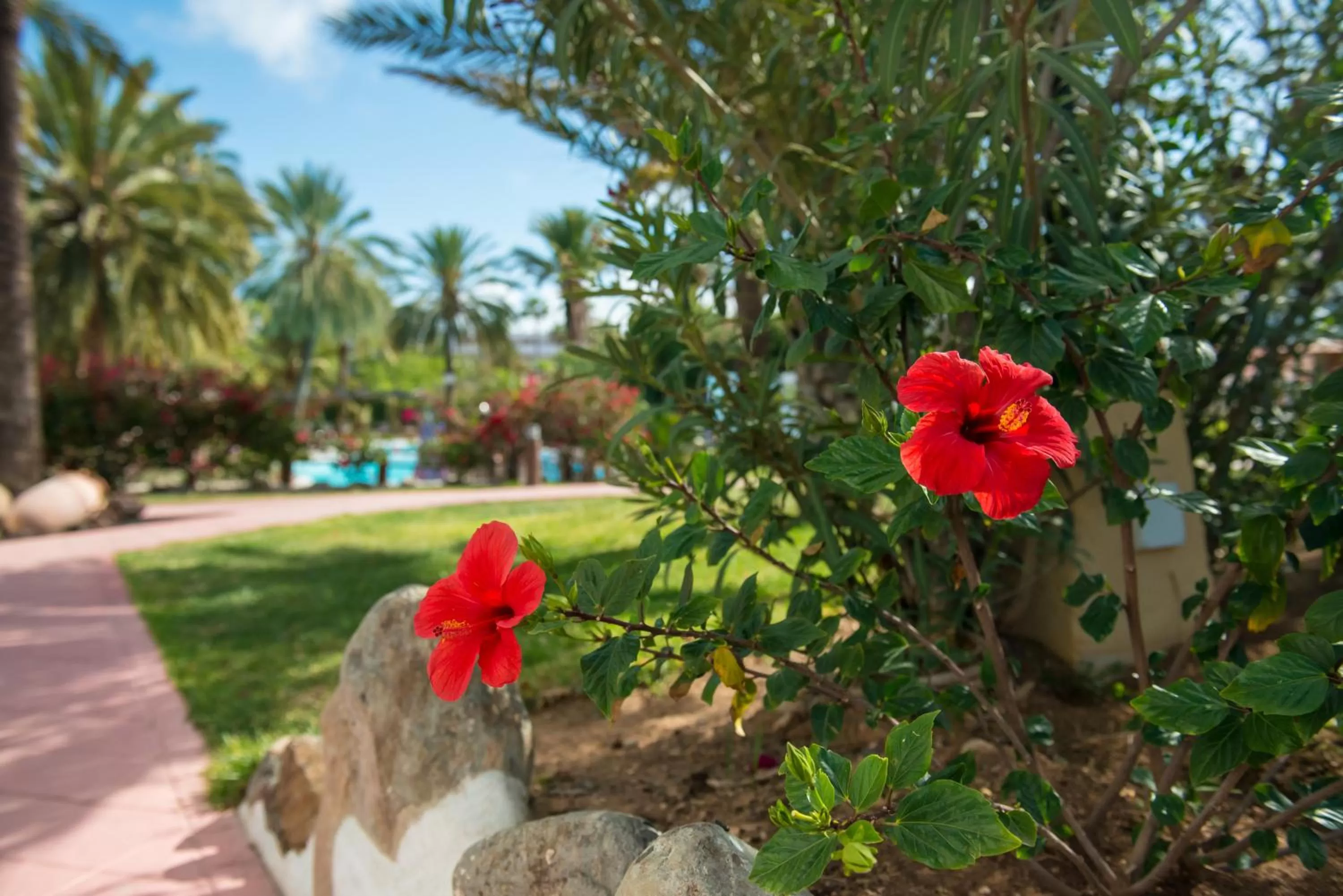 Day in HL Miraflor Suites Hotel