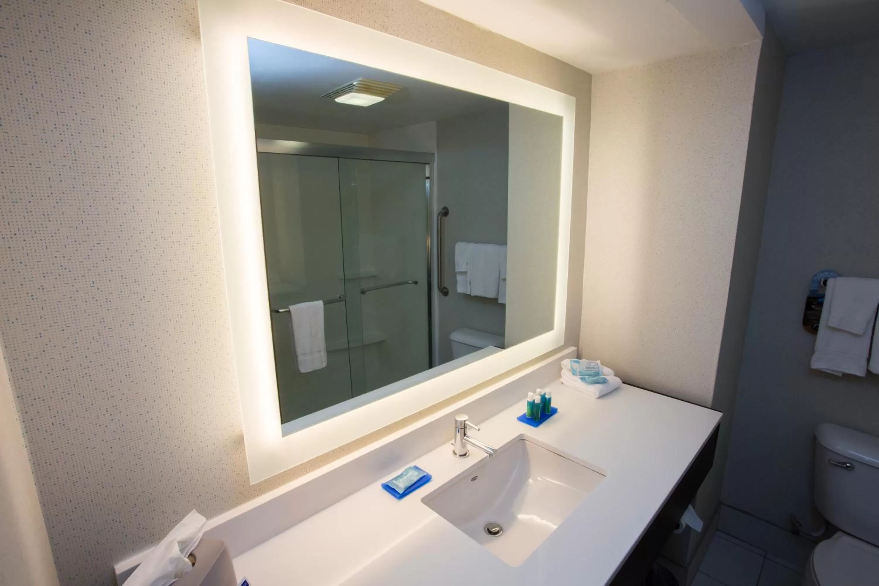 Bathroom in Holiday Inn Express Wilmington by IHG